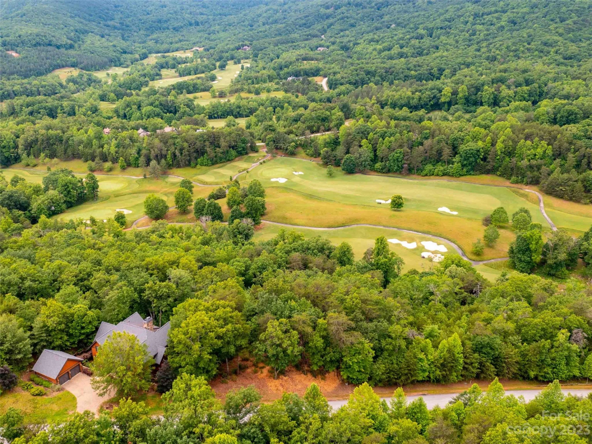 LOT 43 Deep Gap Farm Road E - Photo 6