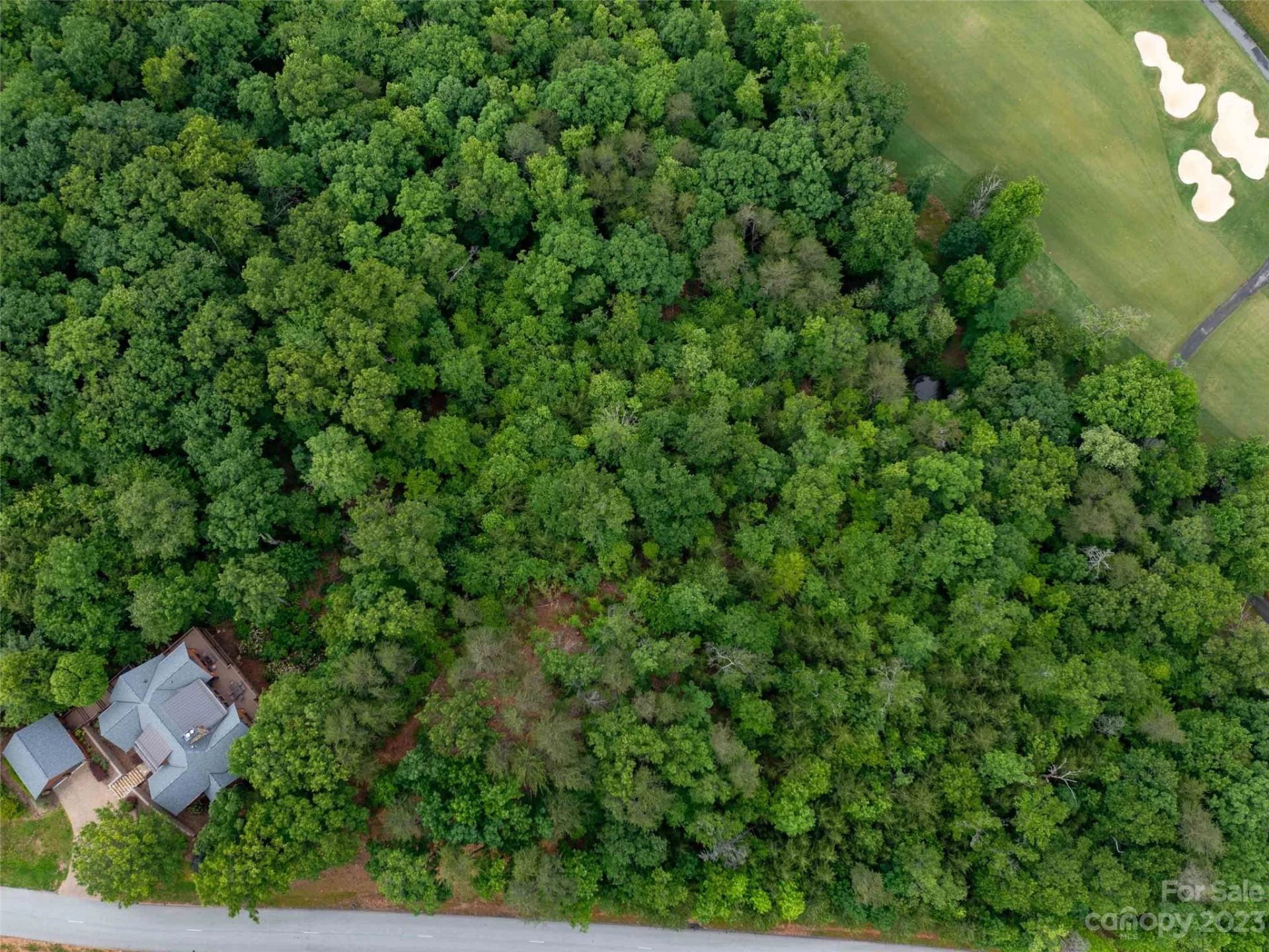 LOT 43 Deep Gap Farm Road E - Photo 7