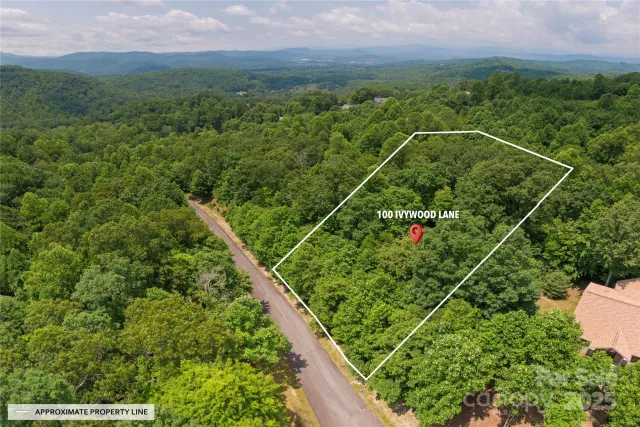 100 Ivywood Lane, Laurel Park, NC, 28739