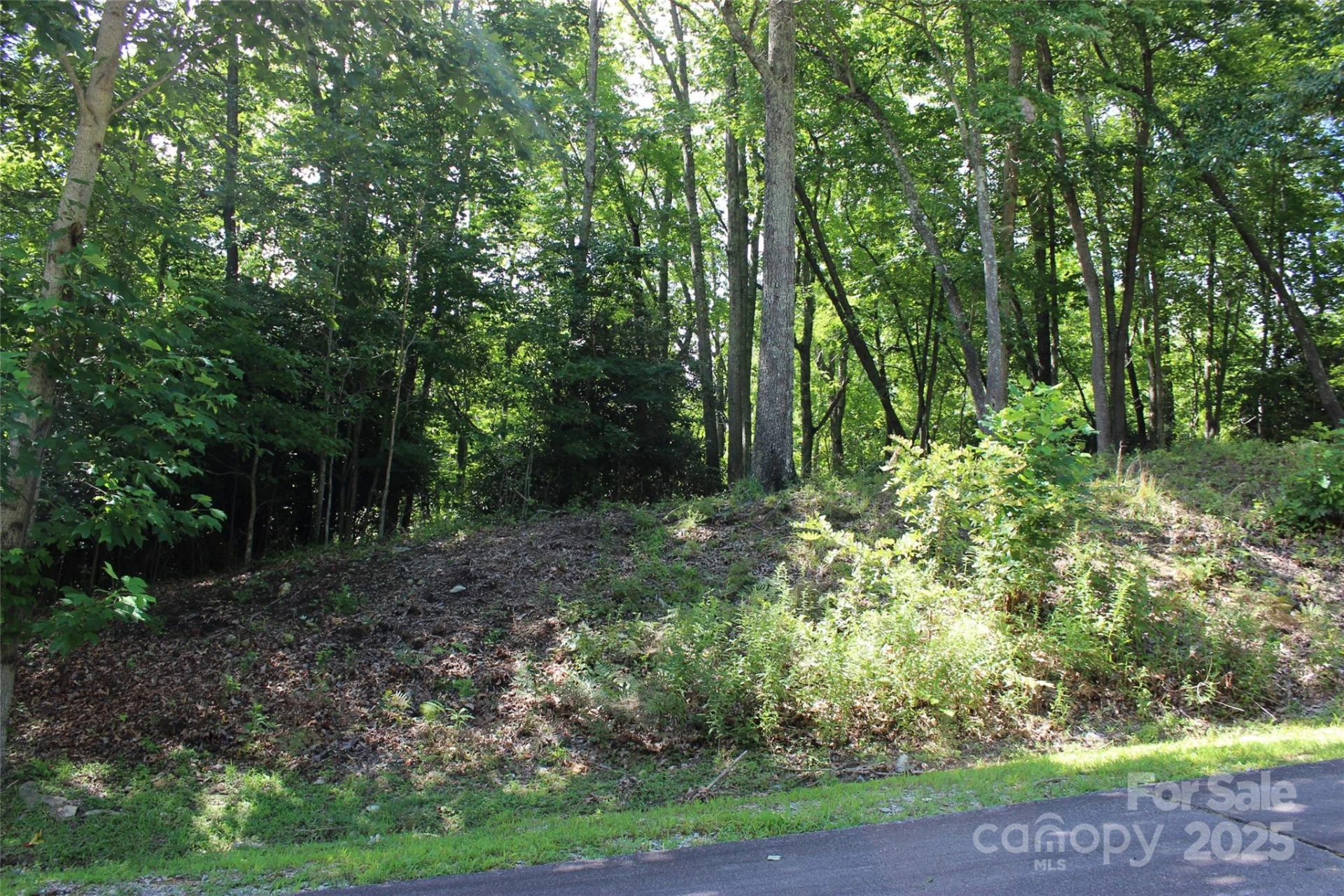 100 Ivywood Lane - Photo 18