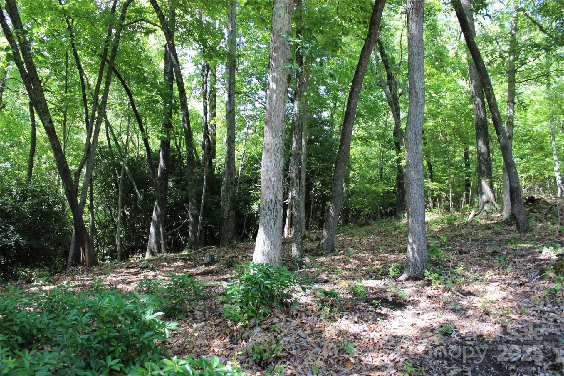 100 Ivywood Lane - Photo 20