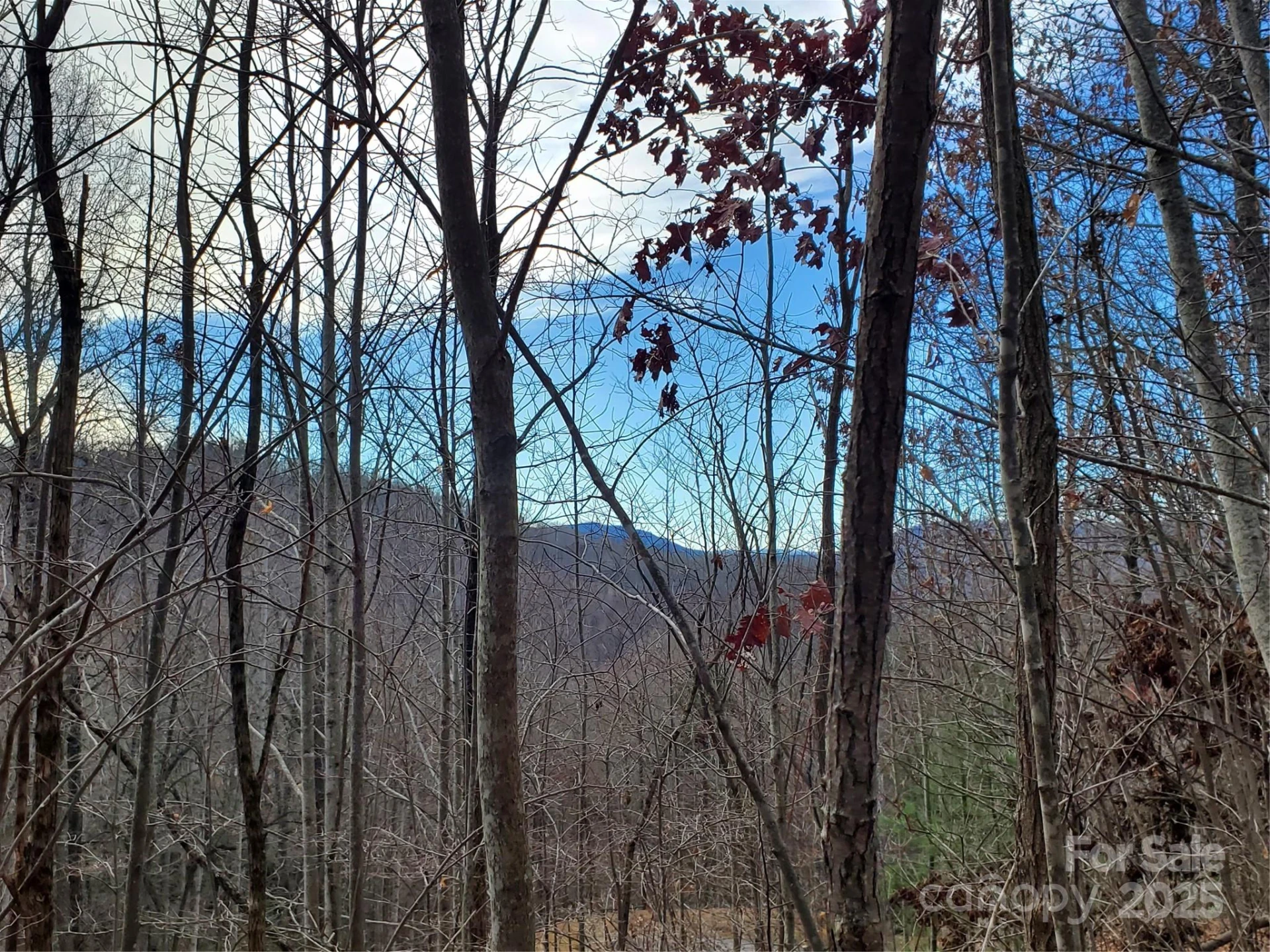100 Ivywood Lane - Photo 24