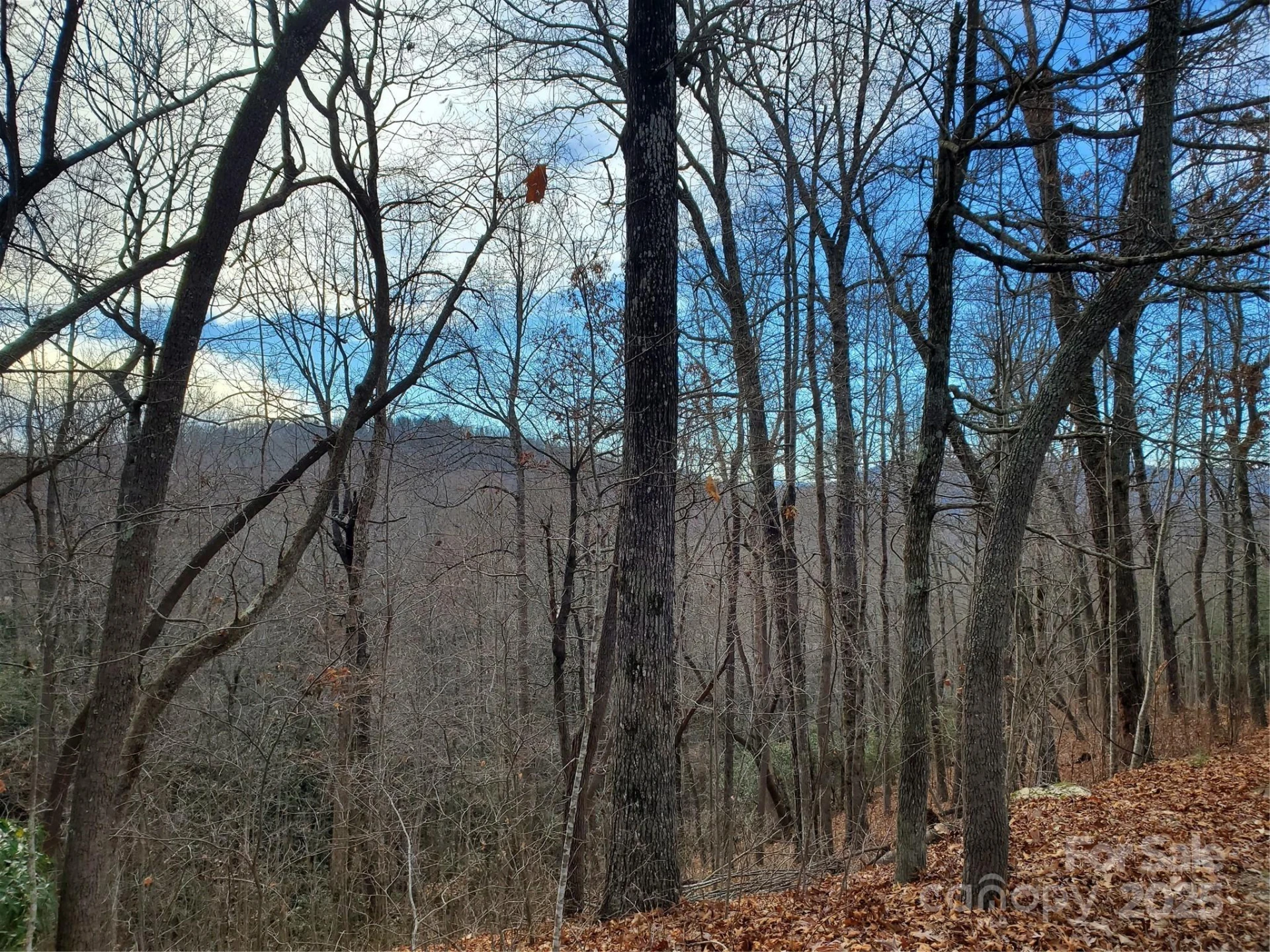 100 Ivywood Lane - Photo 28