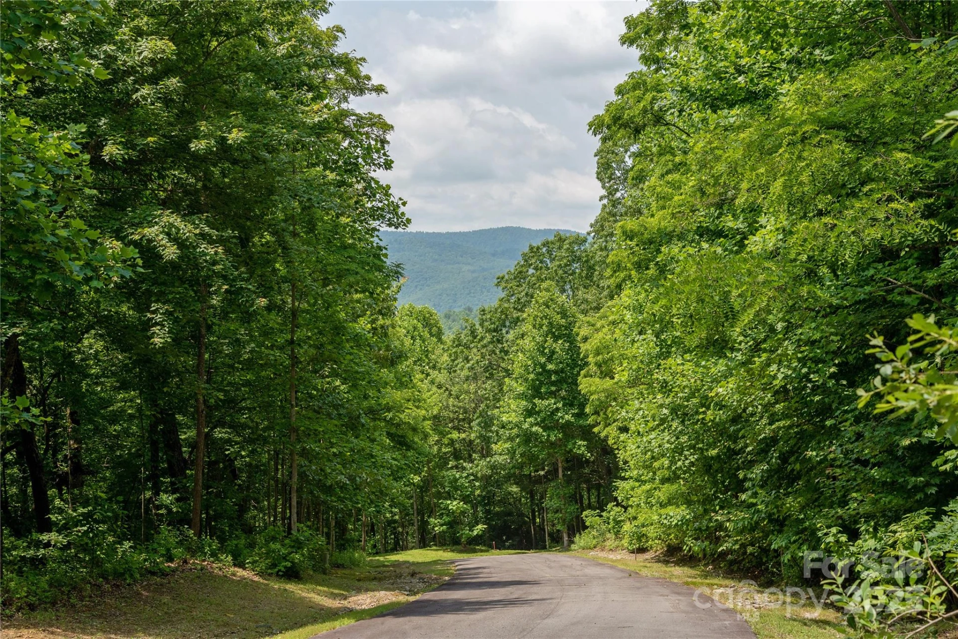 100 Ivywood Lane - Photo 6