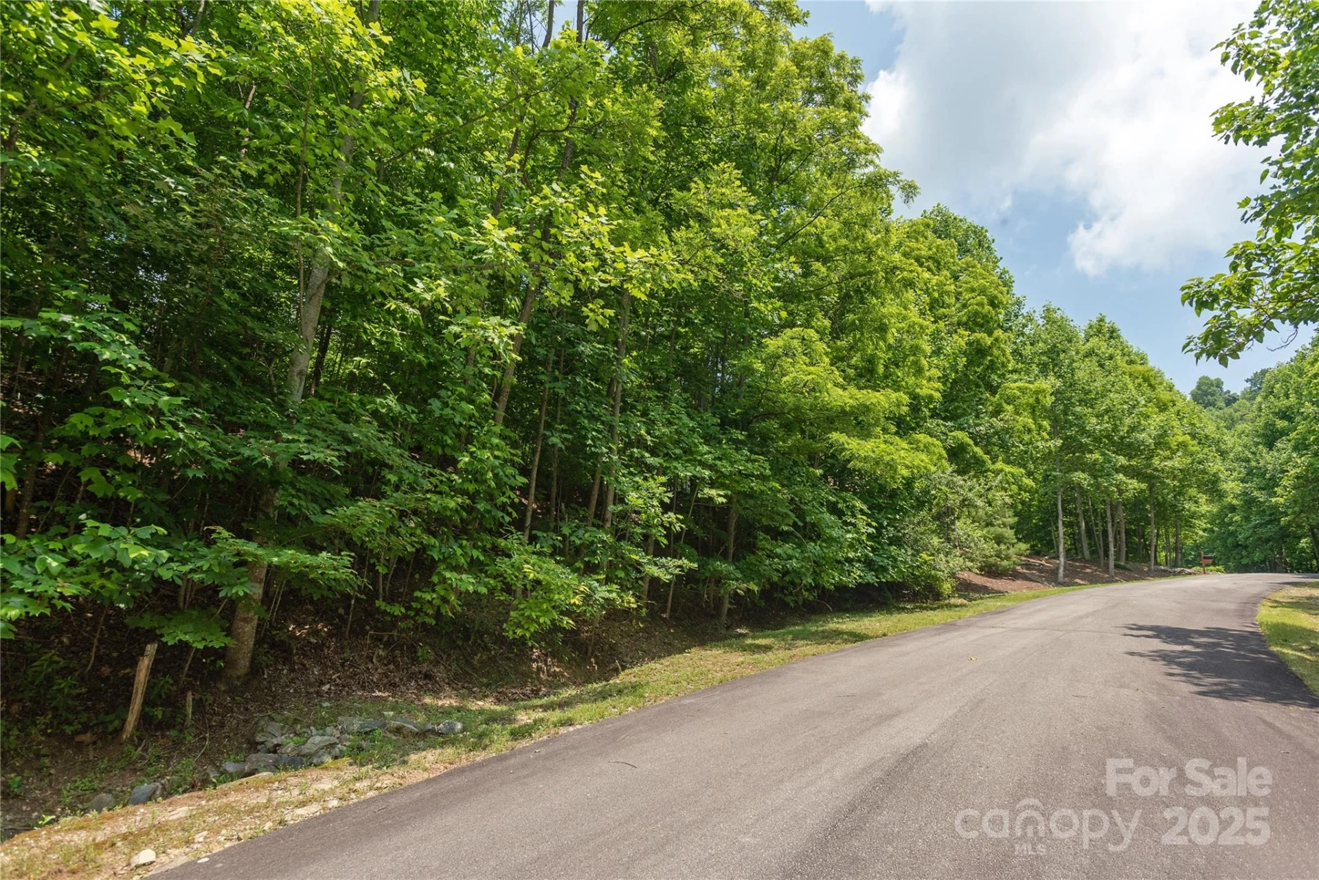 100 Ivywood Lane - Photo 7