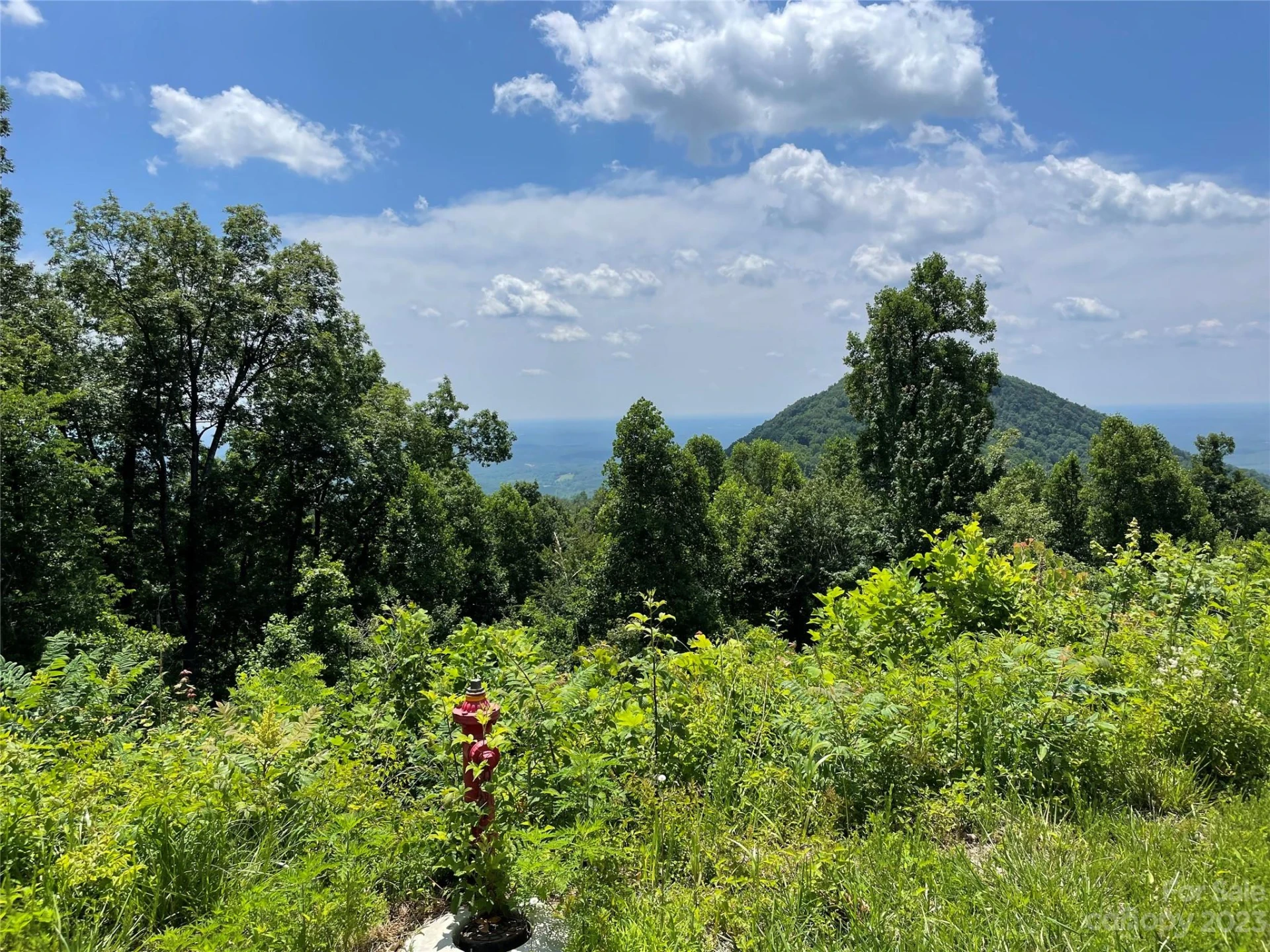 94 Devin Ridge Lane - Photo 25