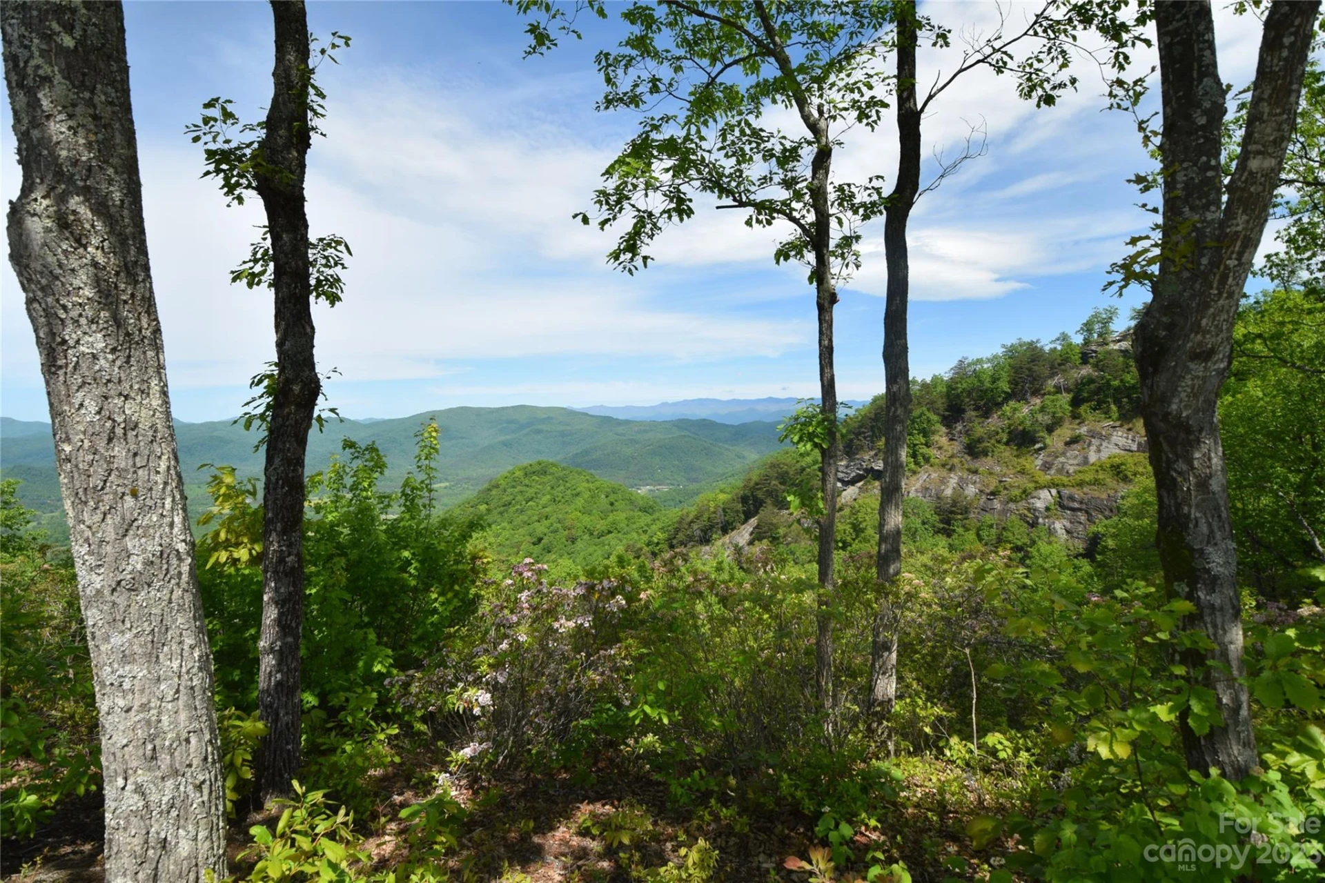 94 Devin Ridge Lane - Photo 4