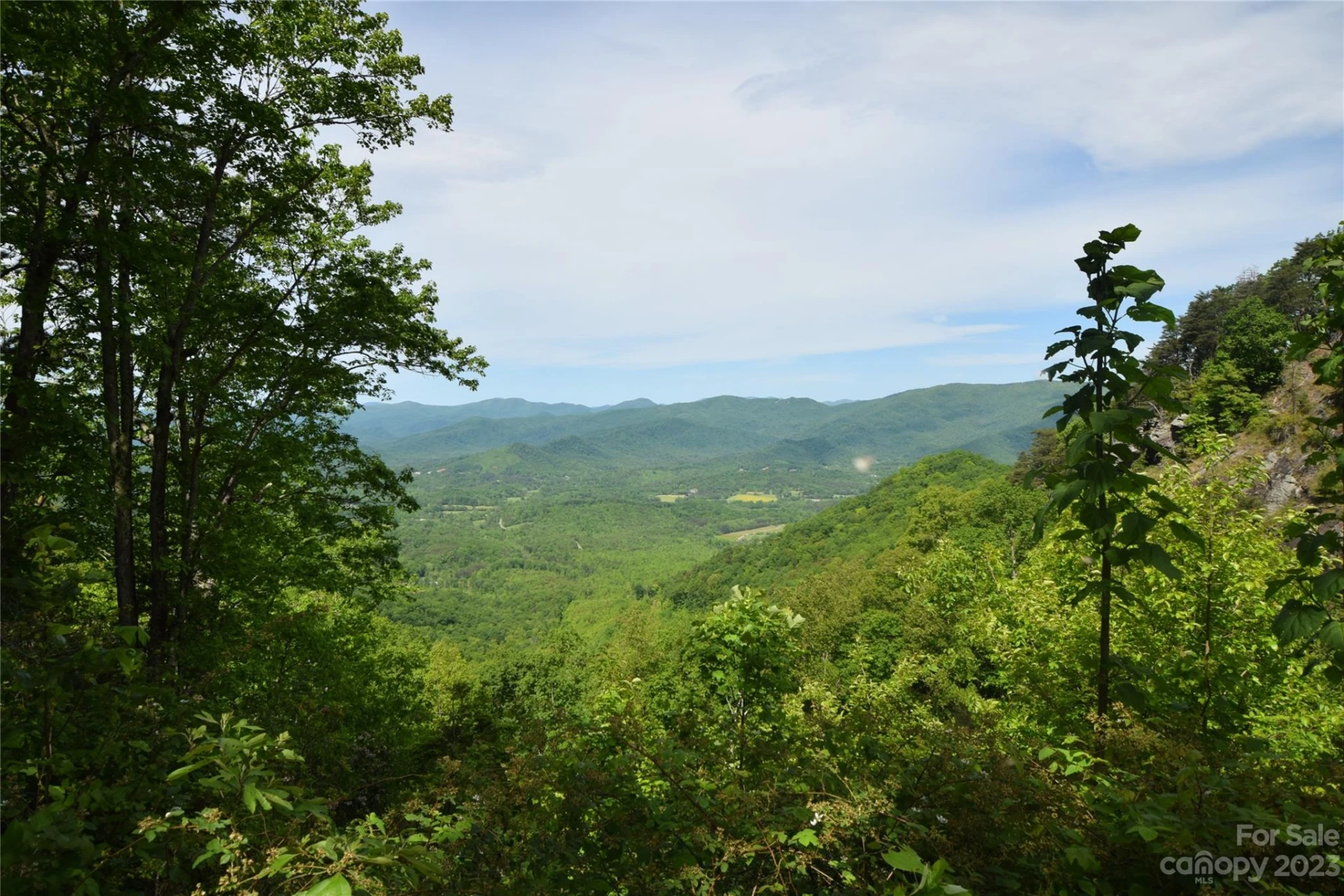 92 Devin Ridge Lane - Photo 11