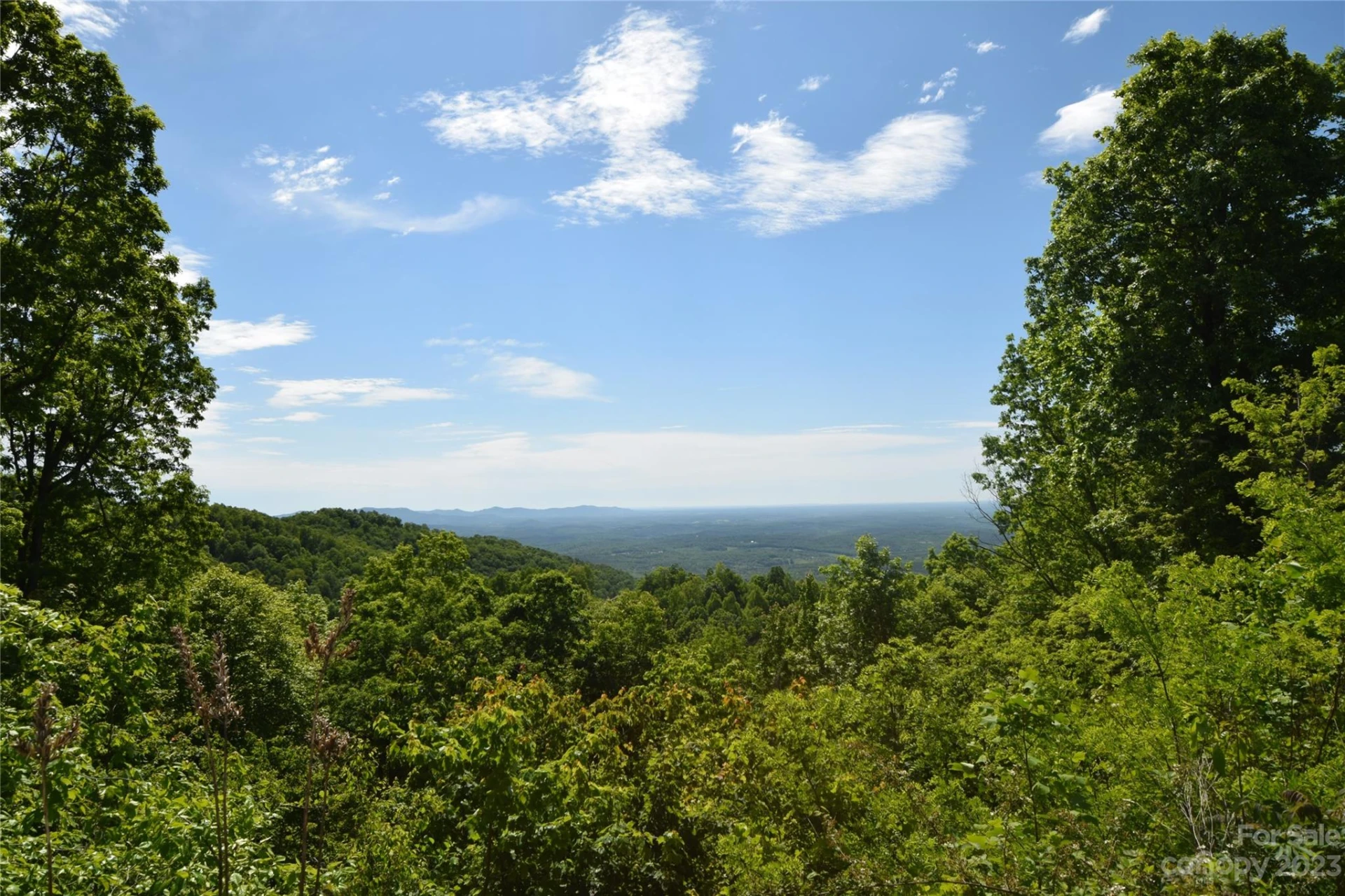 92 Devin Ridge Lane - Photo 14