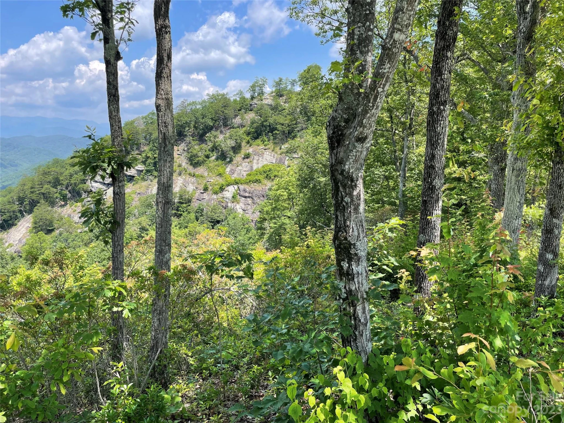 92 Devin Ridge Lane - Photo 24