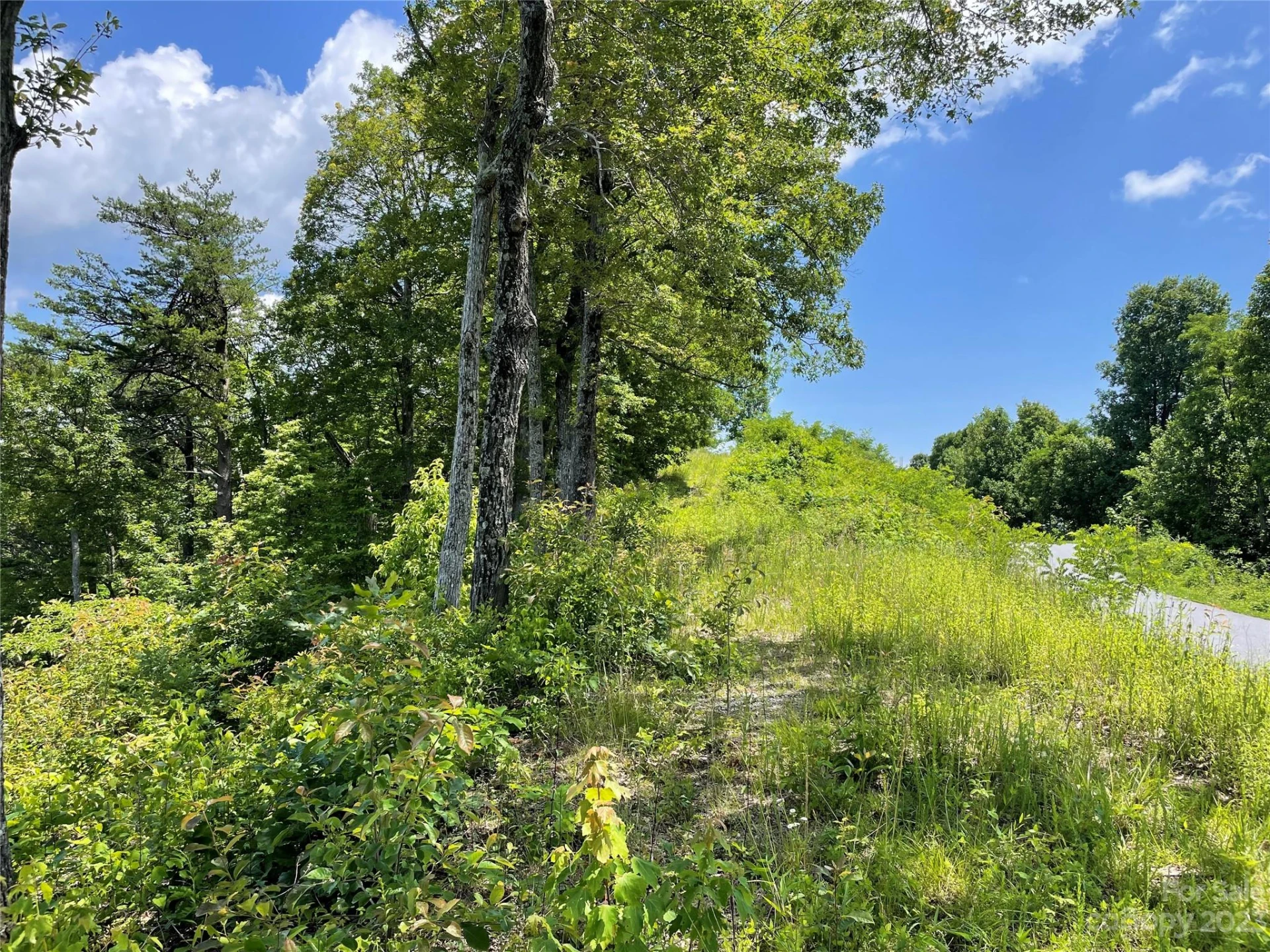 92 Devin Ridge Lane - Photo 27
