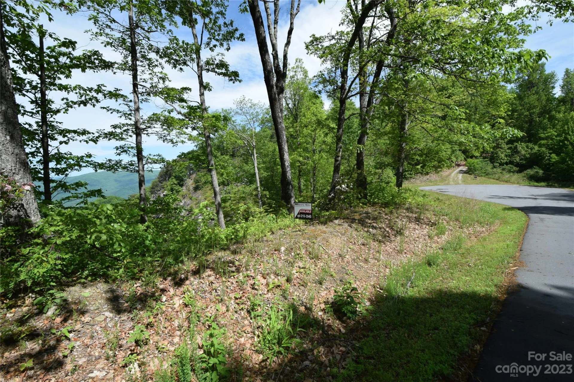 92 Devin Ridge Lane - Photo 10