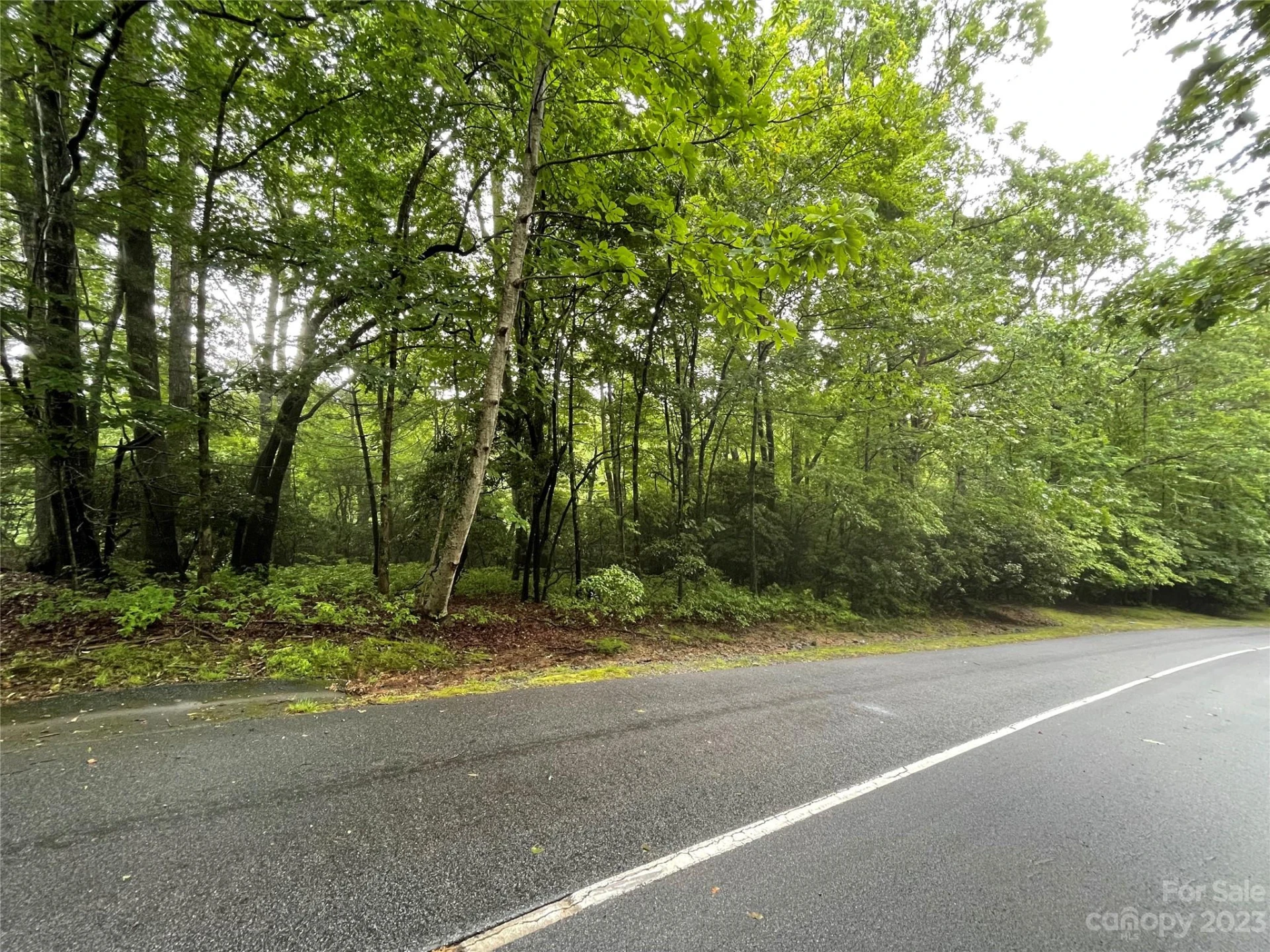 TBD Tellico Trail #116/01 - Photo 8