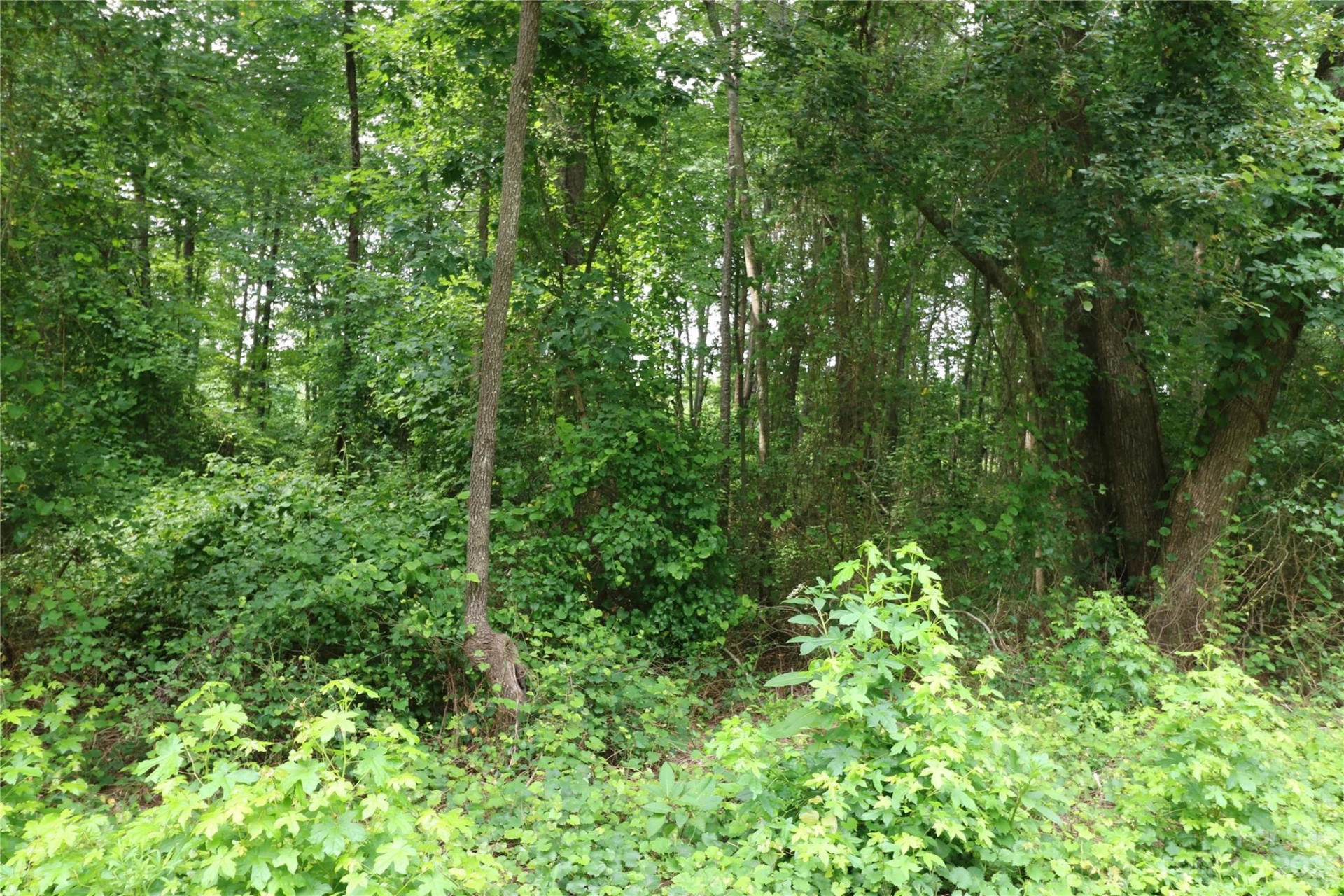 Lot 20 Commercial Drive - Photo 3