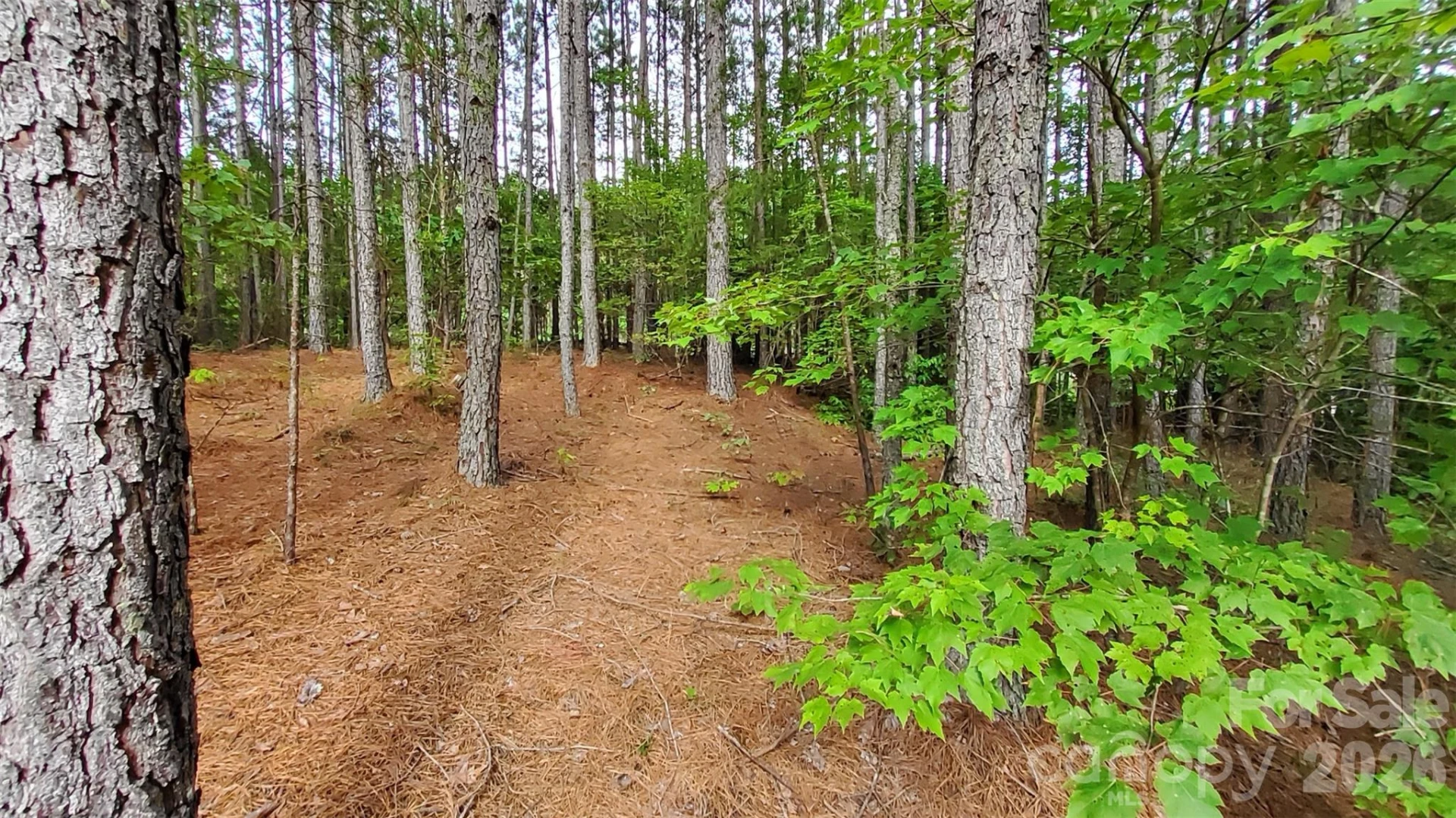 0 Sunset Drive #12 - Photo 11