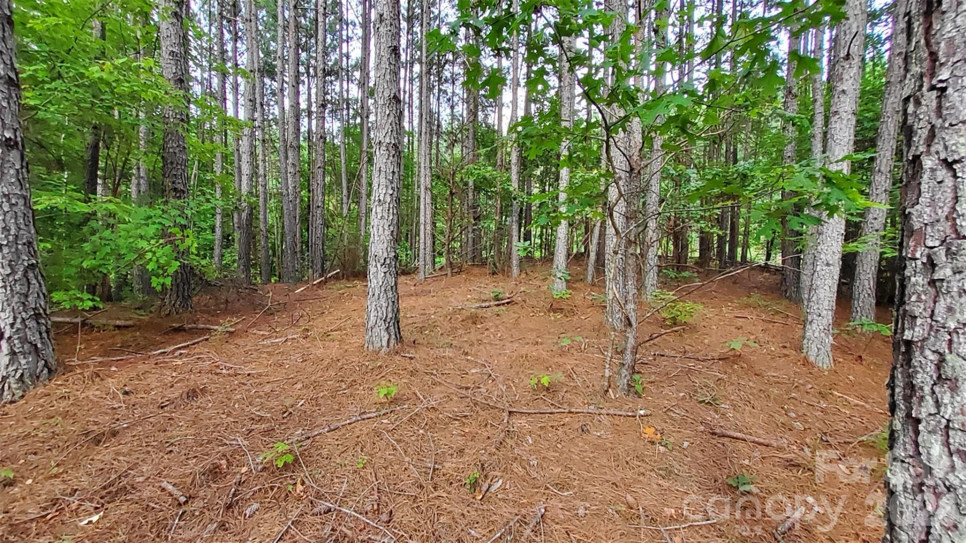 0 Sunset Drive #12 - Photo 12