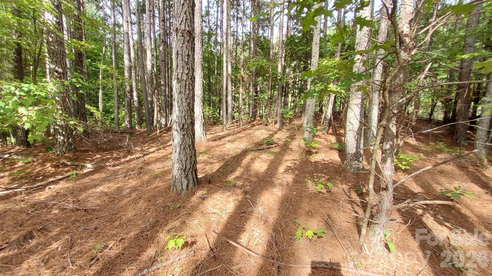 0 Sunset Drive #12 - Photo 13