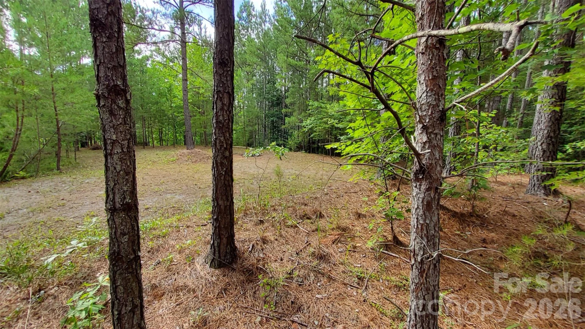 0 Sunset Drive #12 - Photo 14