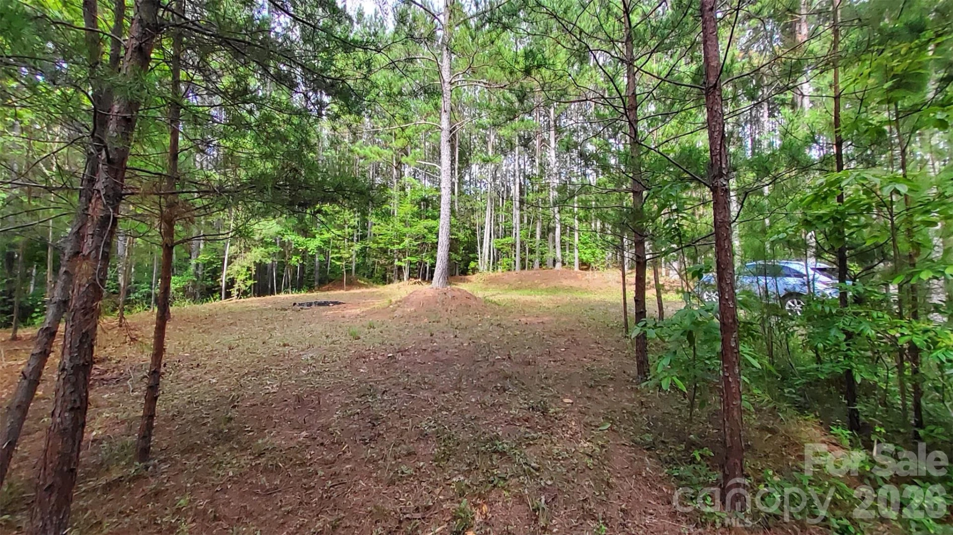 0 Sunset Drive #12 - Photo 15