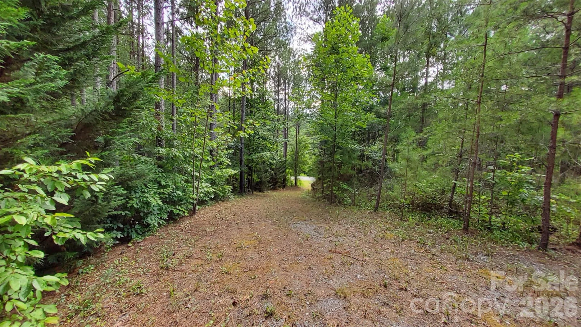 0 Sunset Drive #12 - Photo 16