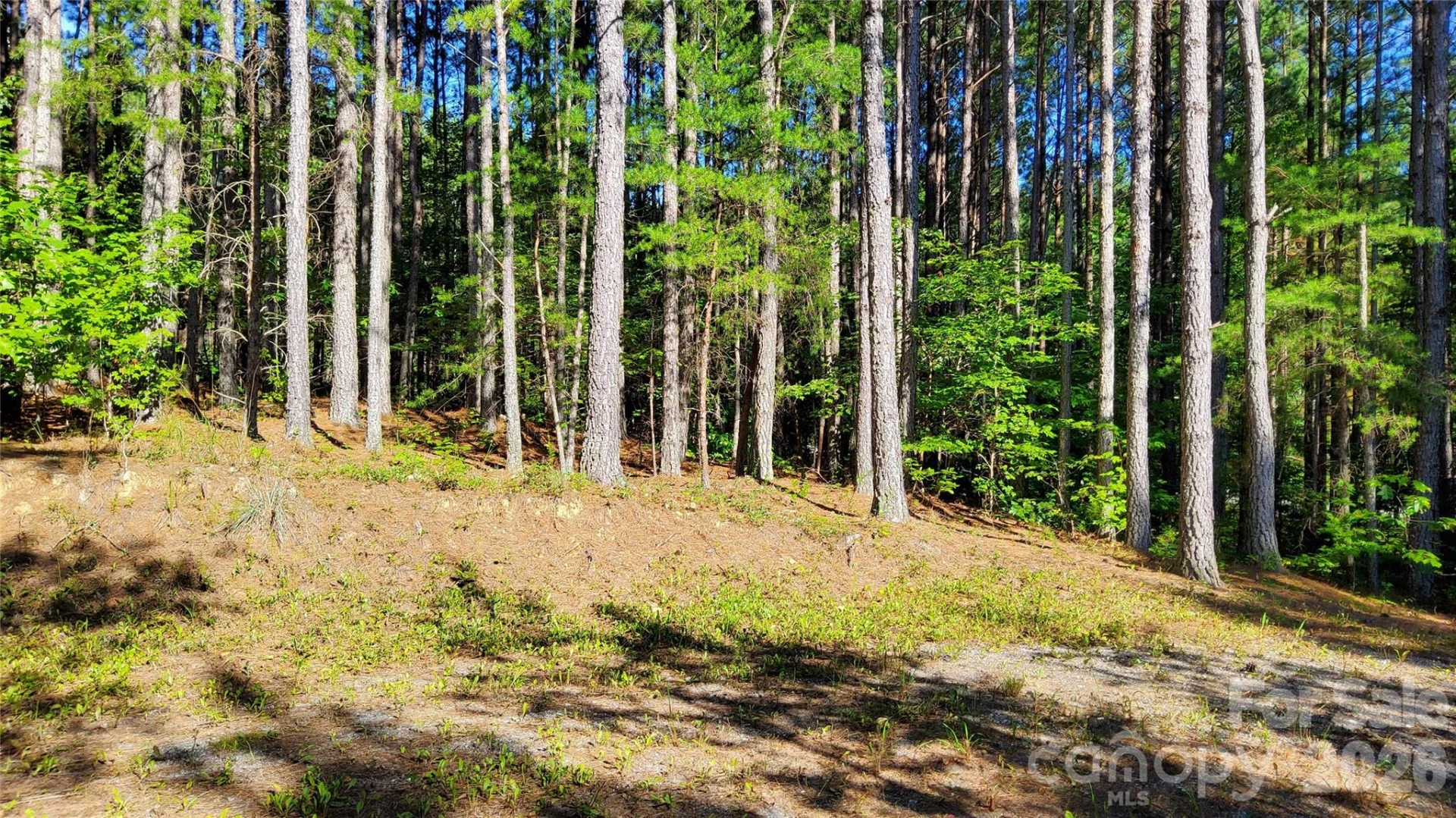 0 Sunset Drive #12 - Photo 9