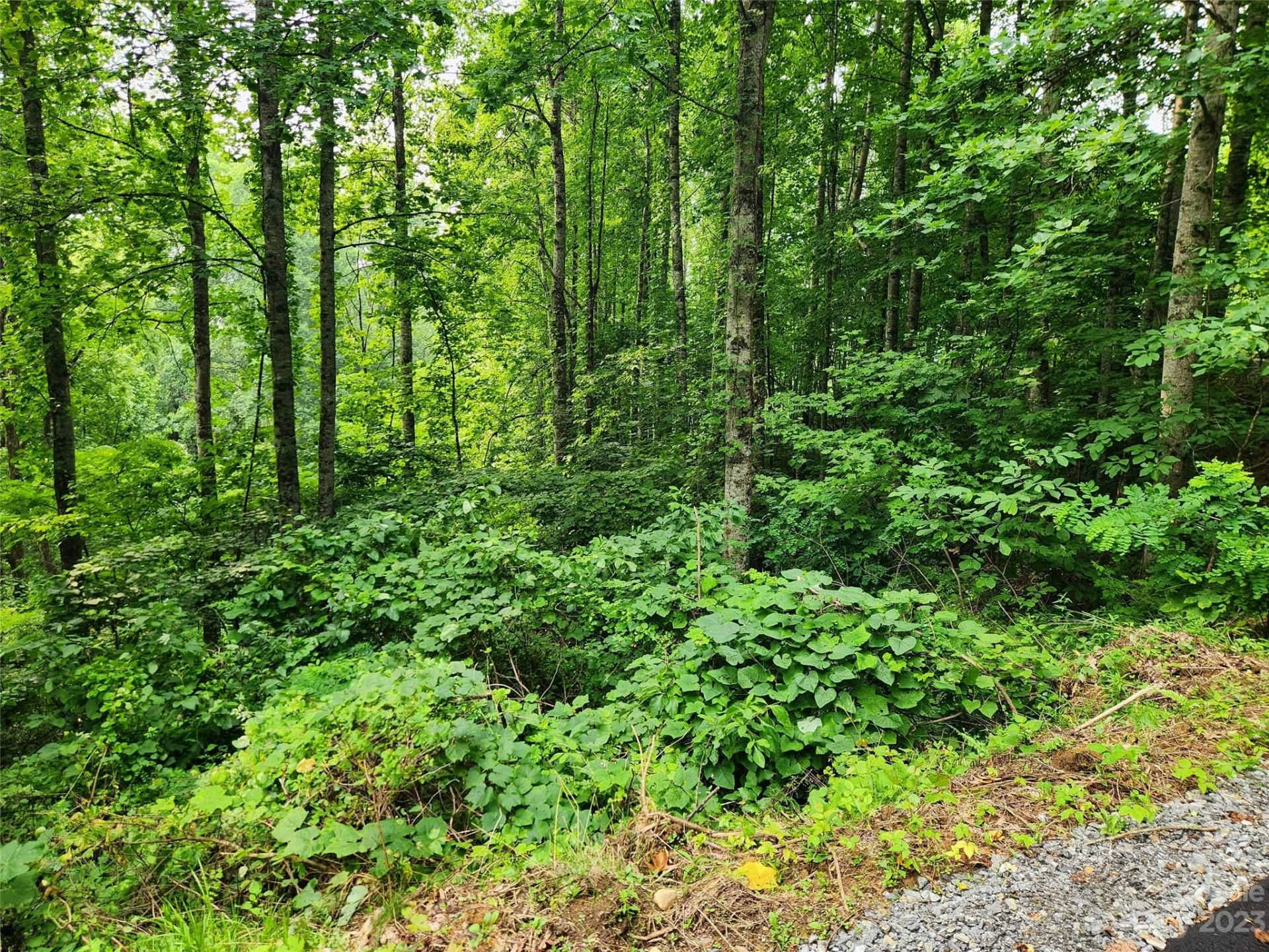 00 Havenwood Drive #C21 - Photo 7