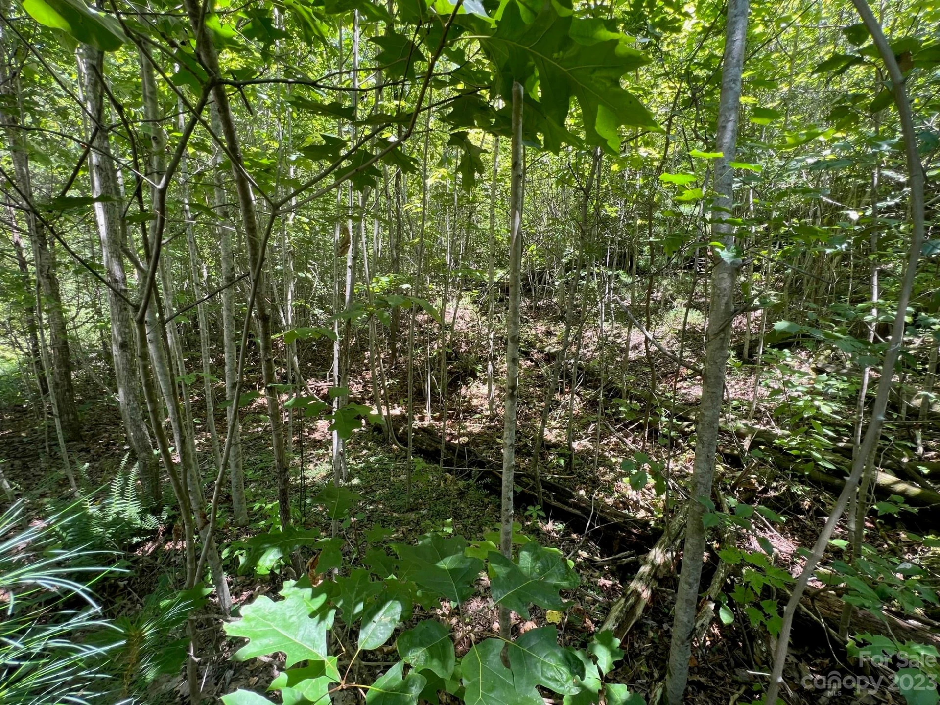 lot 24 Round Mountain Road #24 - Photo 4