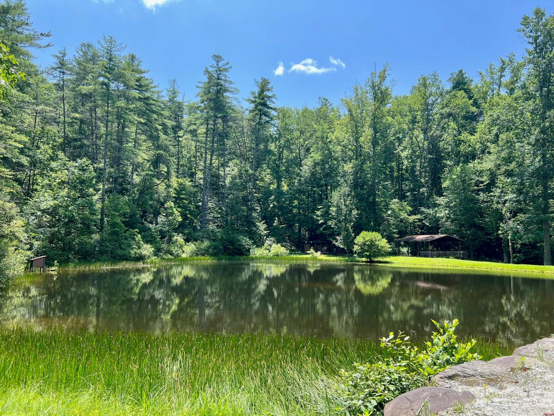 lot 24 Round Mountain Road #24 - Photo 21