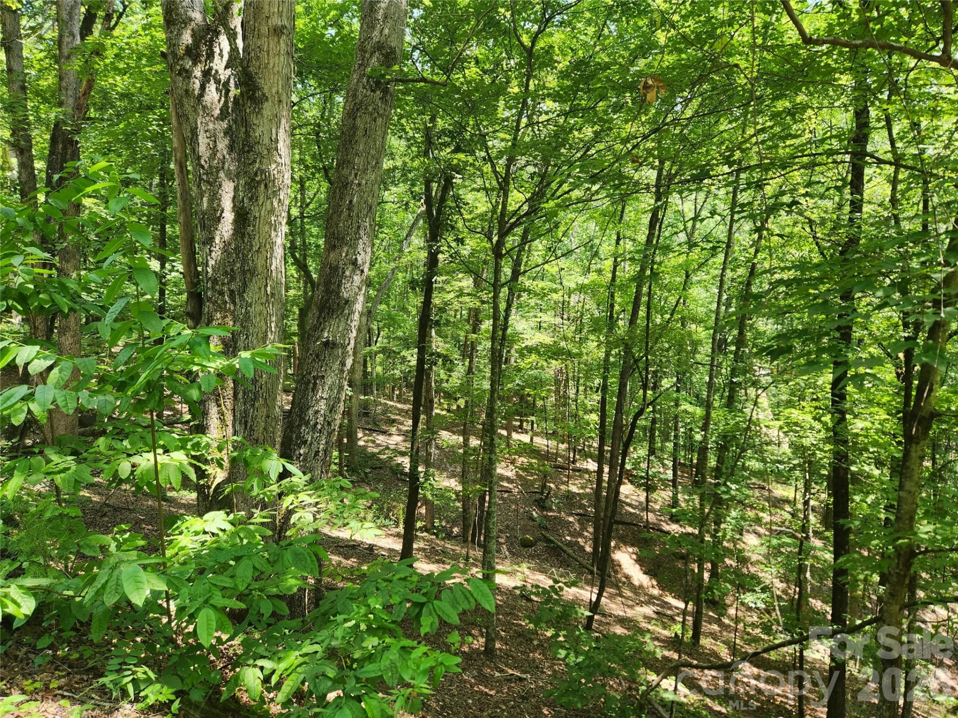 Lot 81, 82, & 88 Walnut Lane