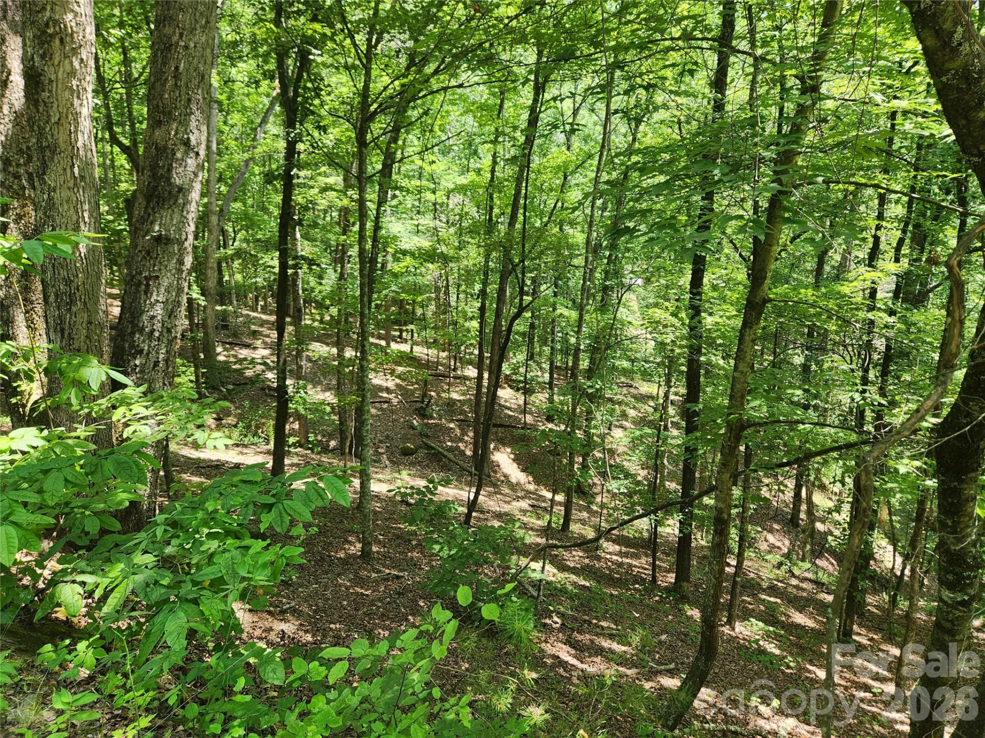 Lot 81, 82, & 88 Walnut Lane - Photo 5