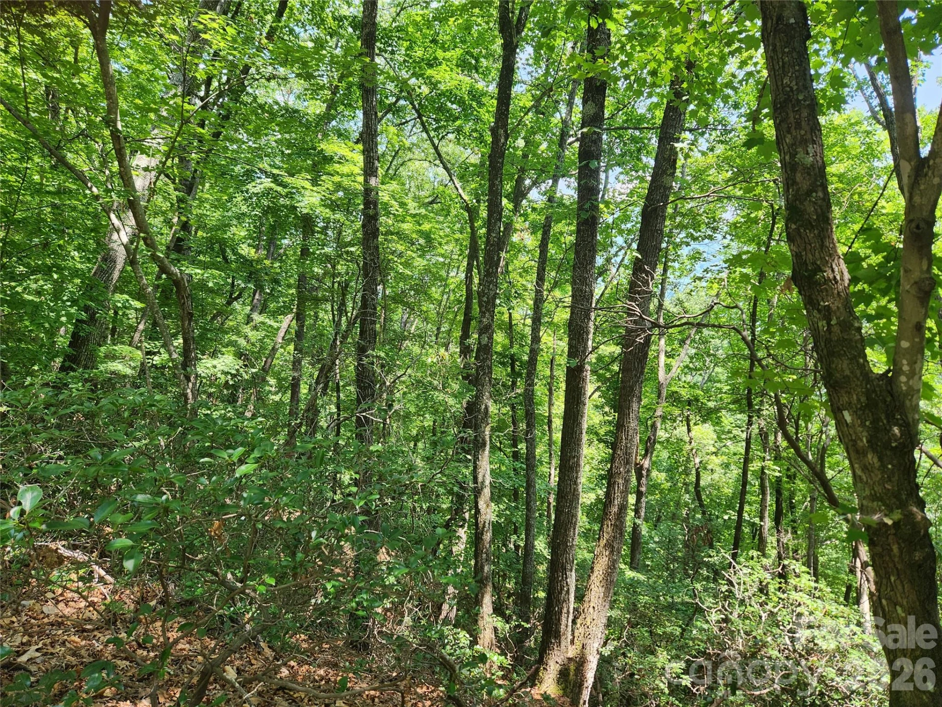 Lot 117, 118, & 132 Summit Court - Photo 2