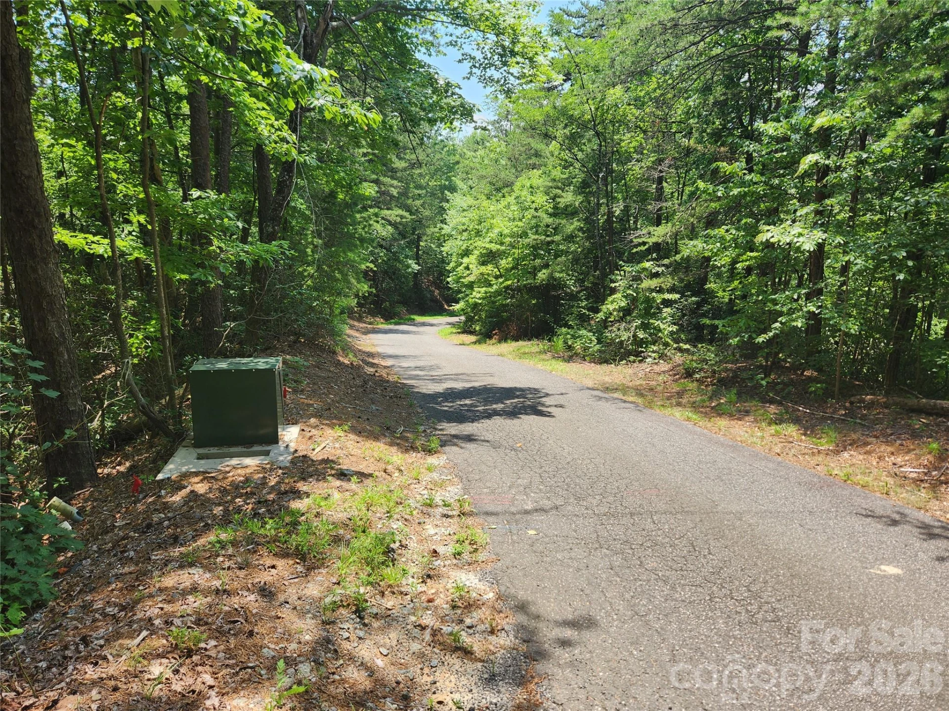 Lot 117, 118, & 132 Summit Court - Photo 4