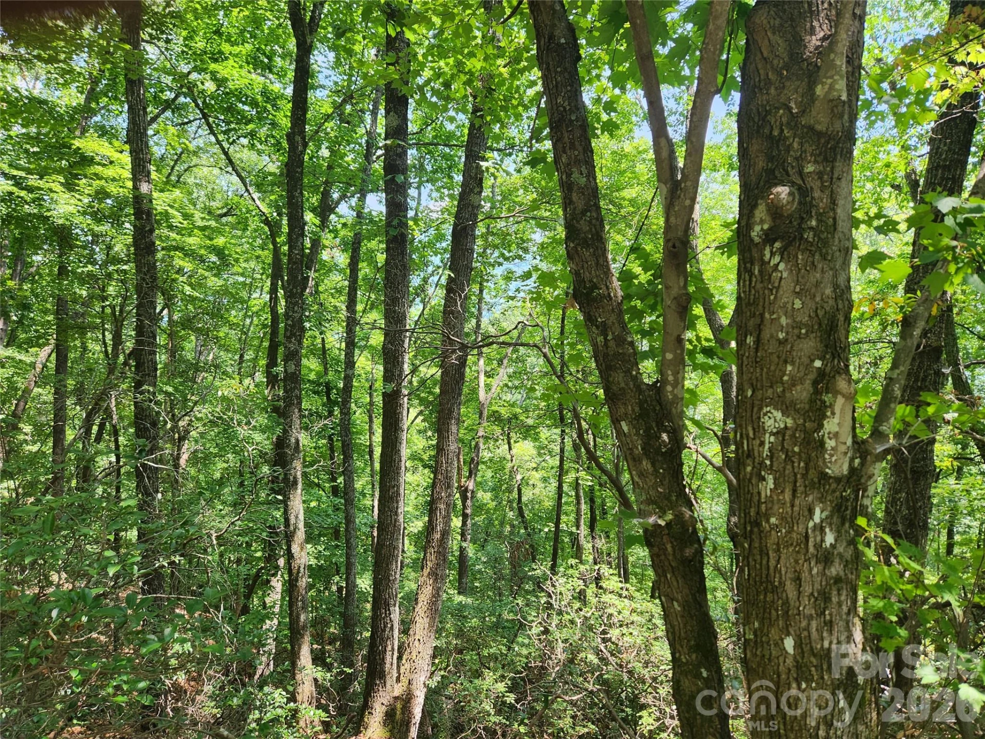Lot 117, 118, & 132 Summit Court - Photo 5