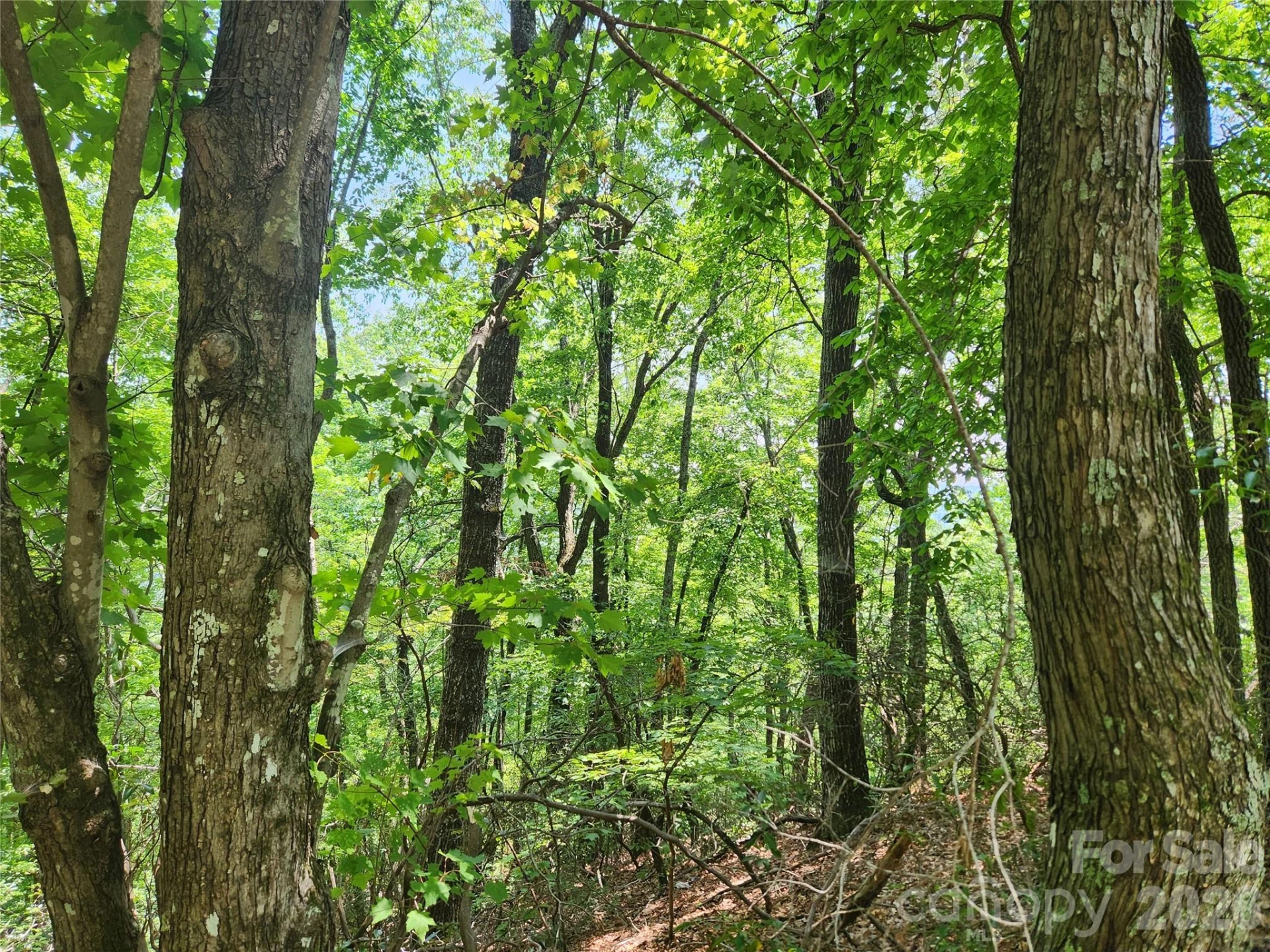 Lot 117, 118, & 132 Summit Court - Photo 6