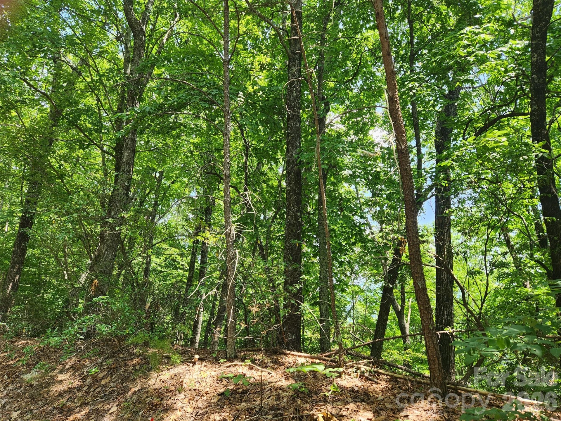 Lot 117, 118, & 132 Summit Court - Photo 7