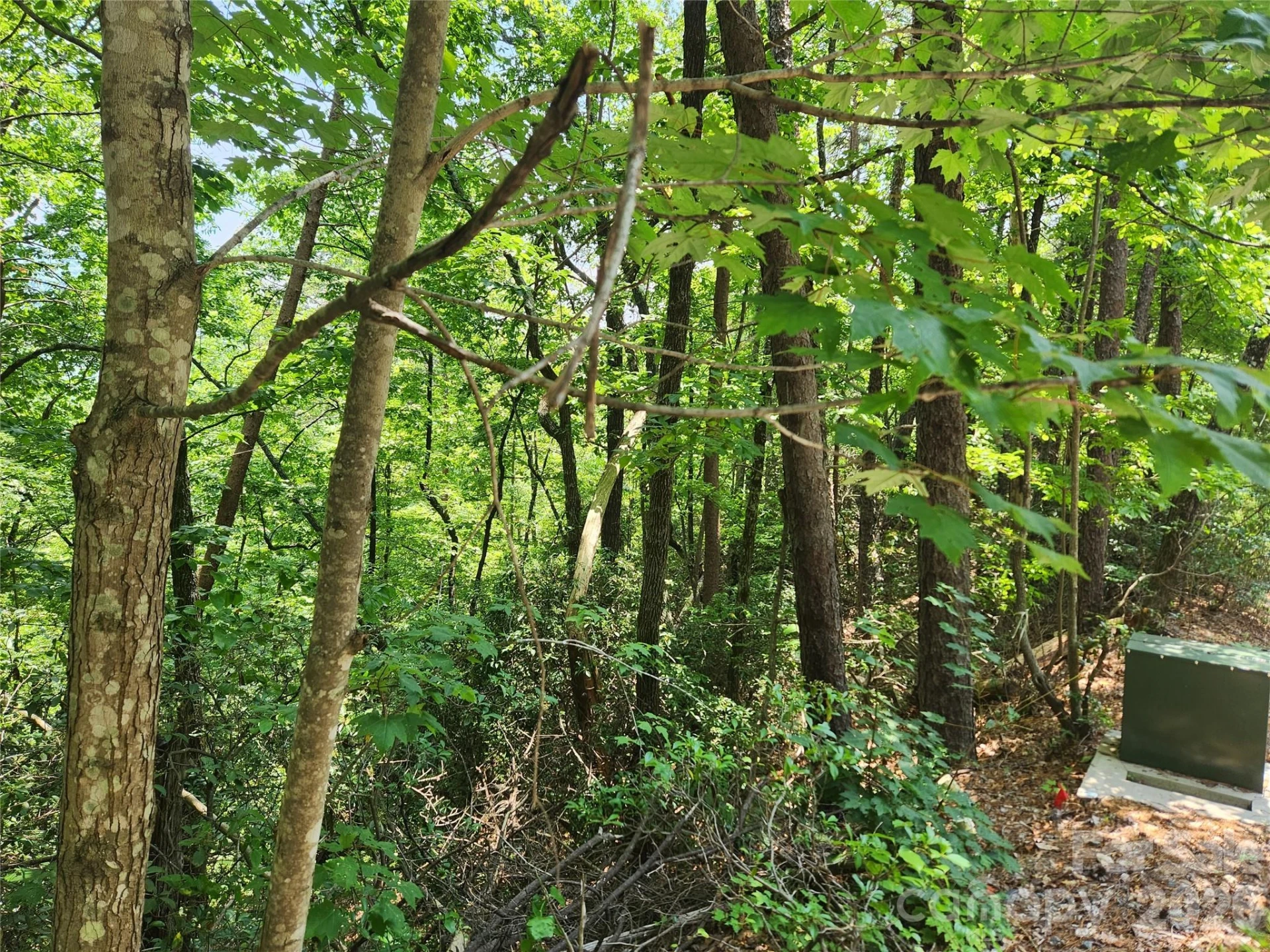 Lot 117, 118, & 132 Summit Court - Photo 8