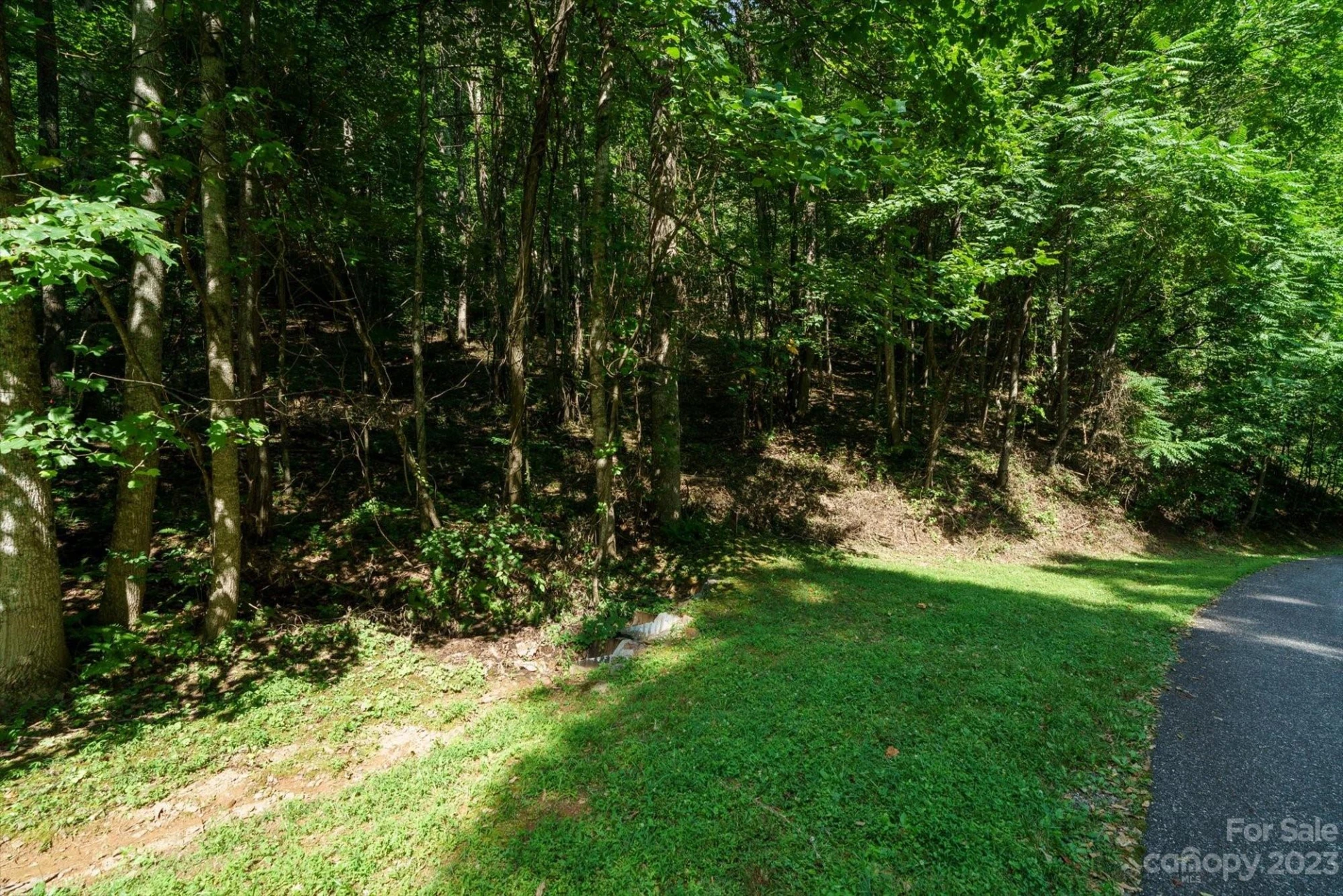 317 Boundary Tree Pass #14 - Photo 12