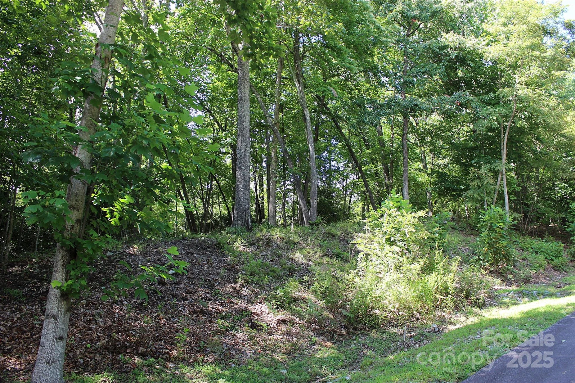 120 Ivywood Lane - Photo 19