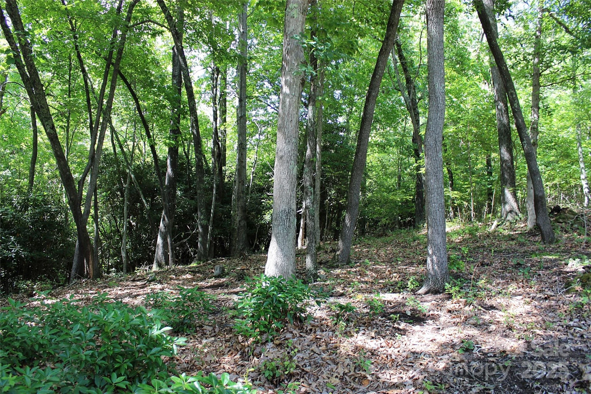 120 Ivywood Lane - Photo 20