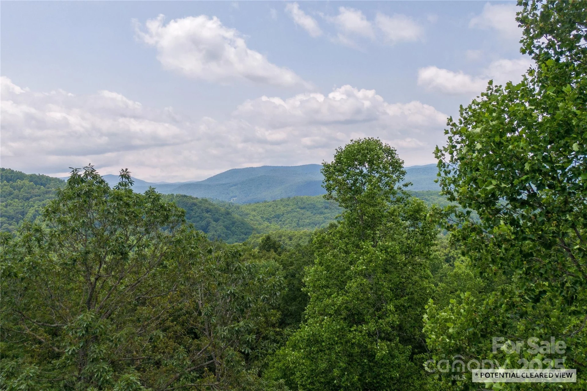 120 Ivywood Lane - Photo 3