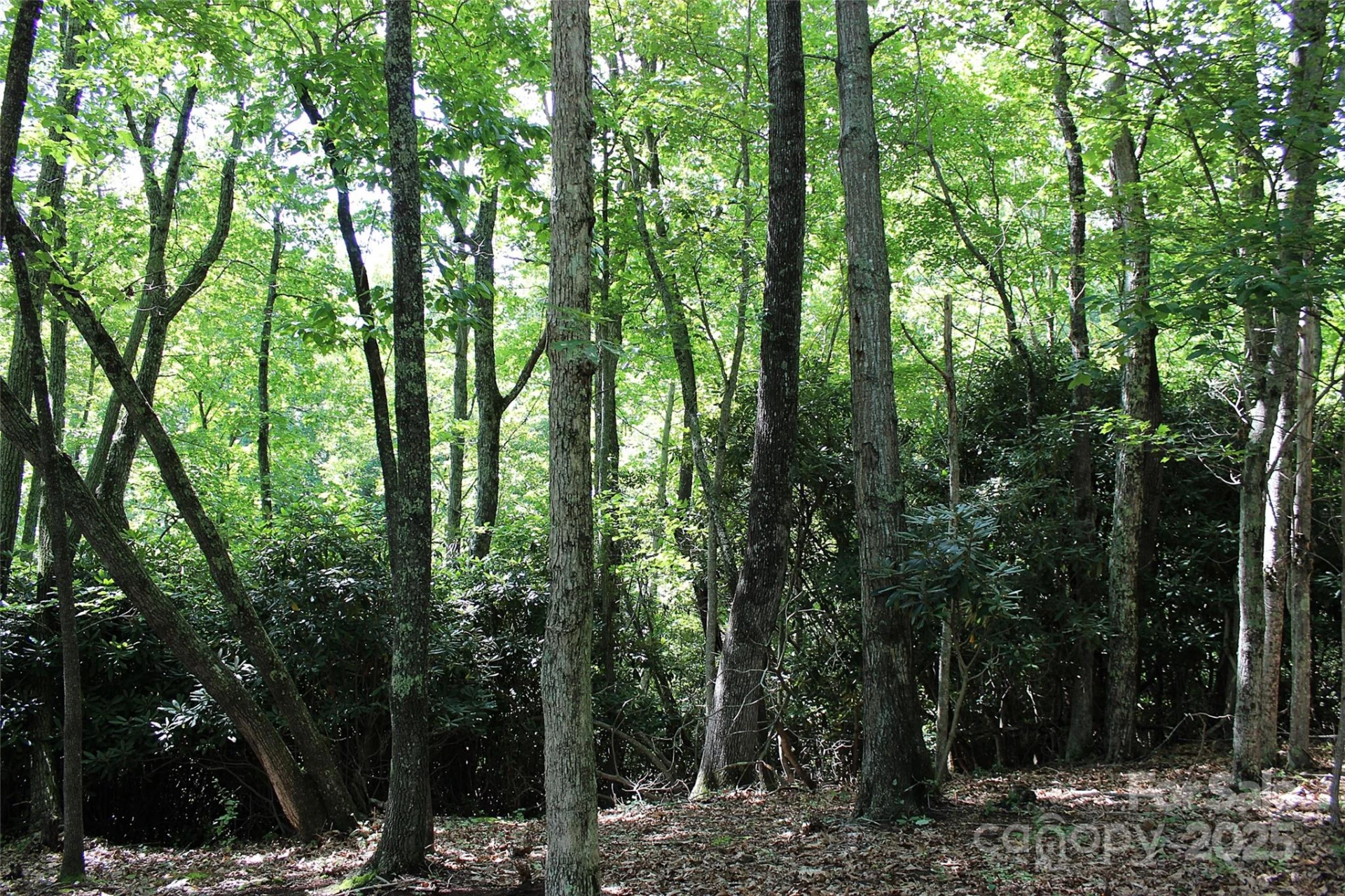 120 Ivywood Lane - Photo 21