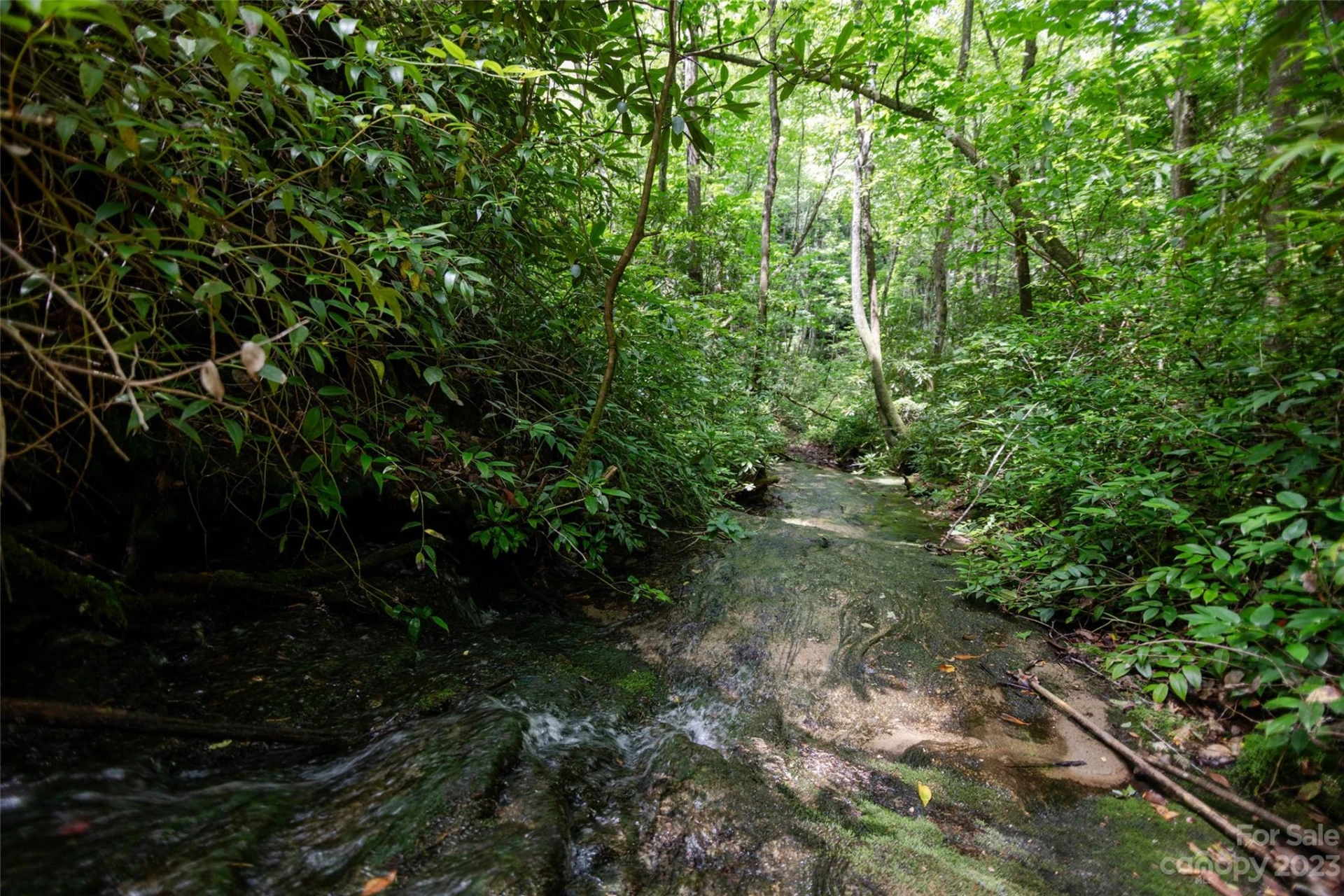 TBD Nancy Mountain Road - Photo 18