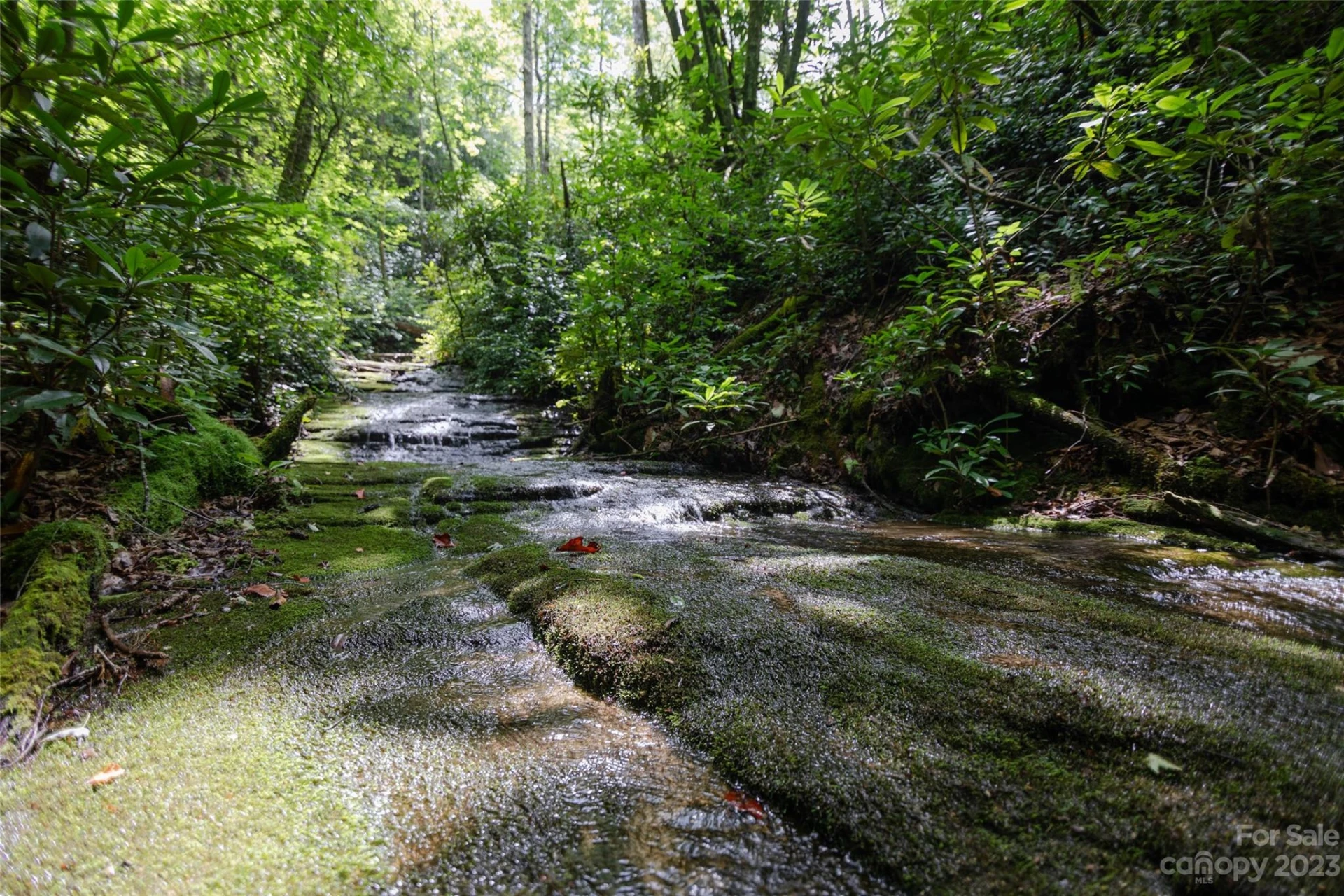 TBD Nancy Mountain Road - Photo 20
