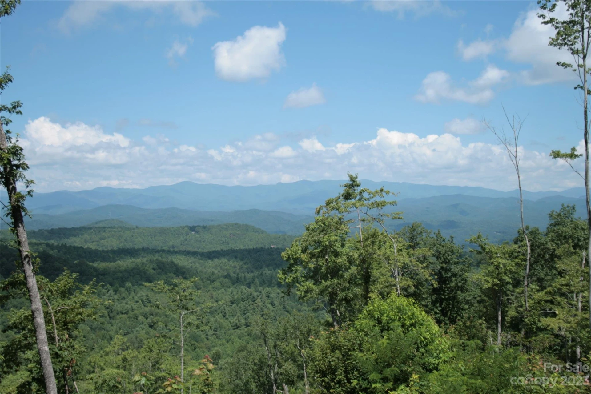 TBD Nancy Mountain Road - Photo 3