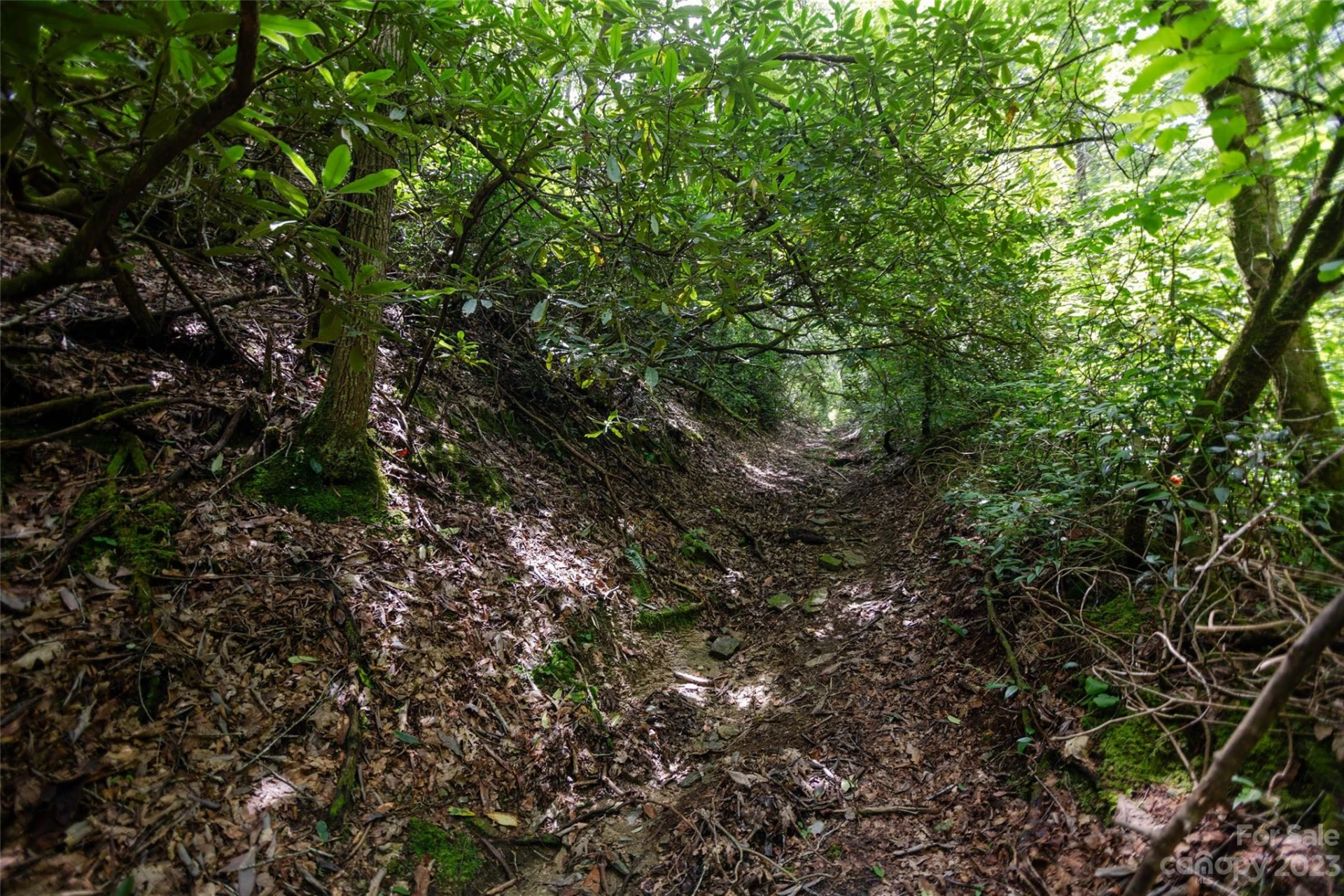 TBD Nancy Mountain Road - Photo 21