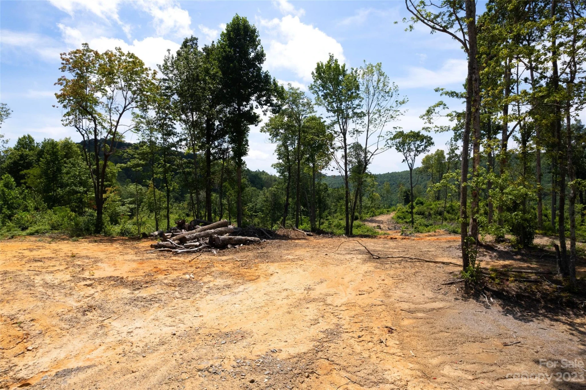 TBD Nancy Mountain Road - Photo 23