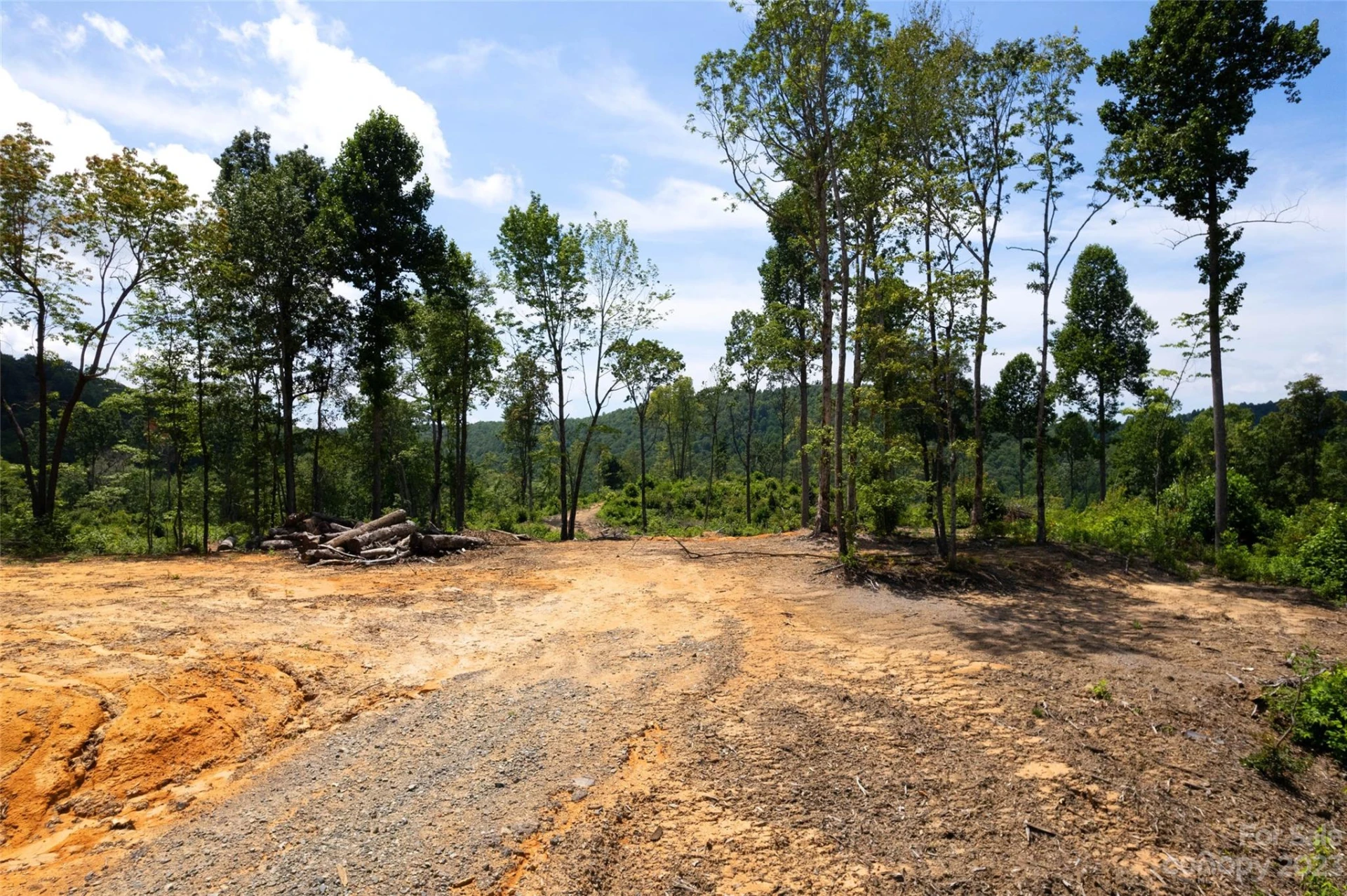 TBD Nancy Mountain Road - Photo 25