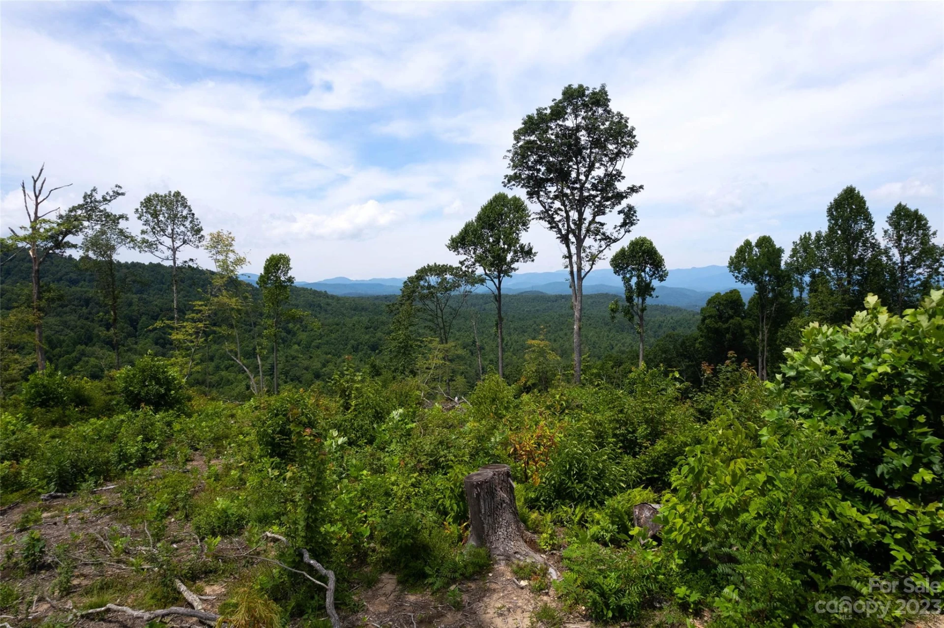 TBD Nancy Mountain Road - Photo 32
