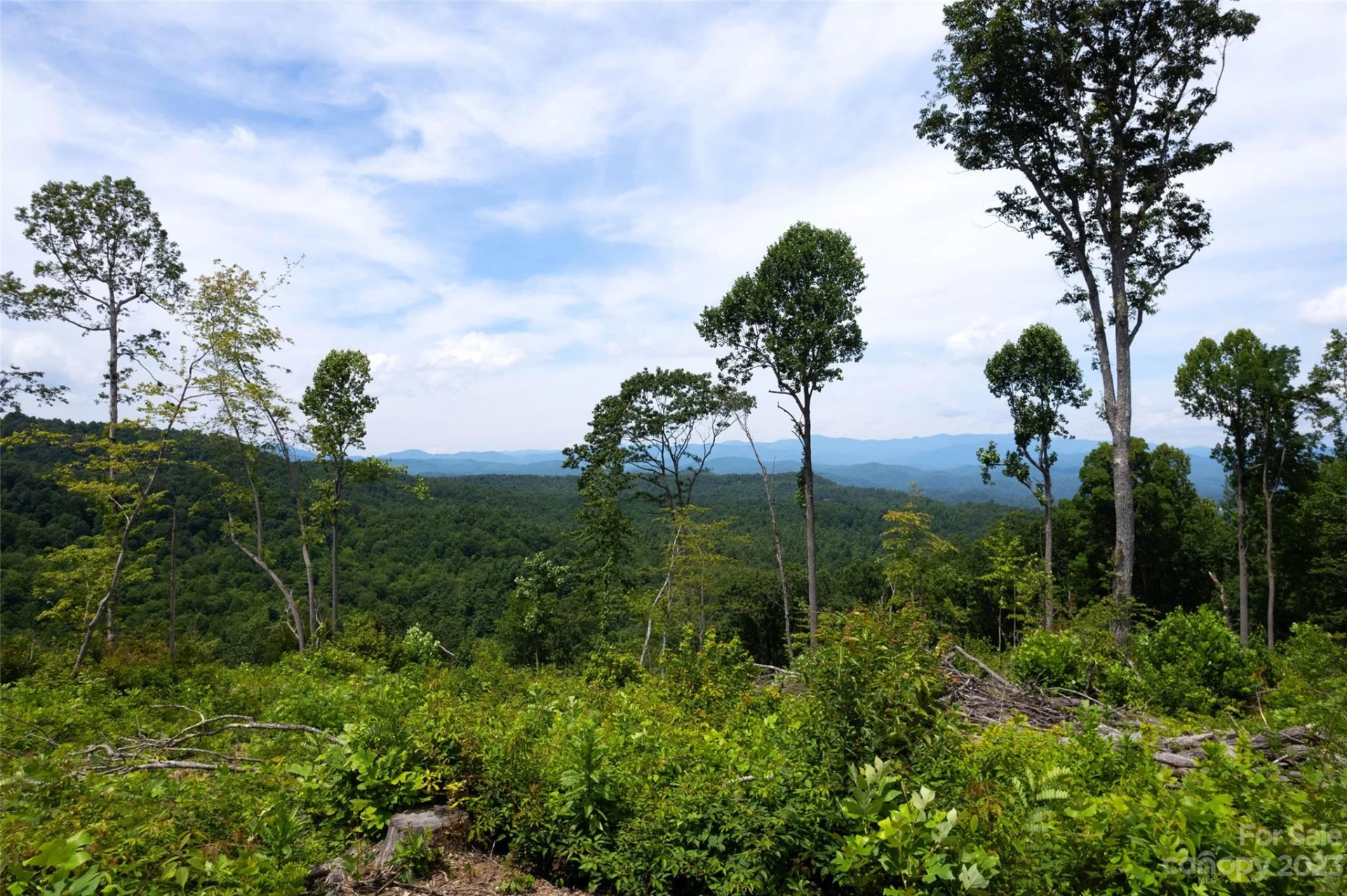 TBD Nancy Mountain Road - Photo 33