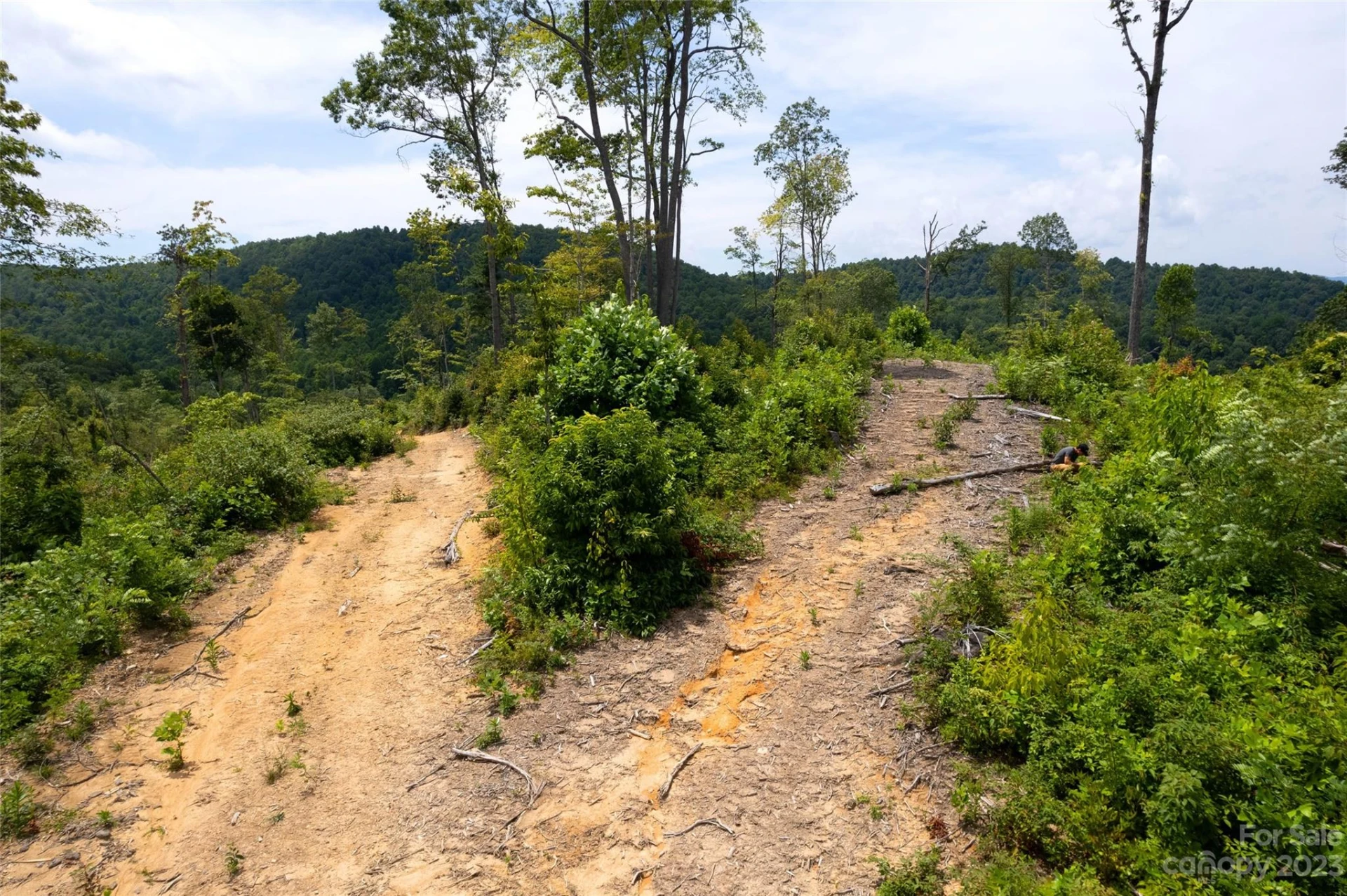 TBD Nancy Mountain Road - Photo 34